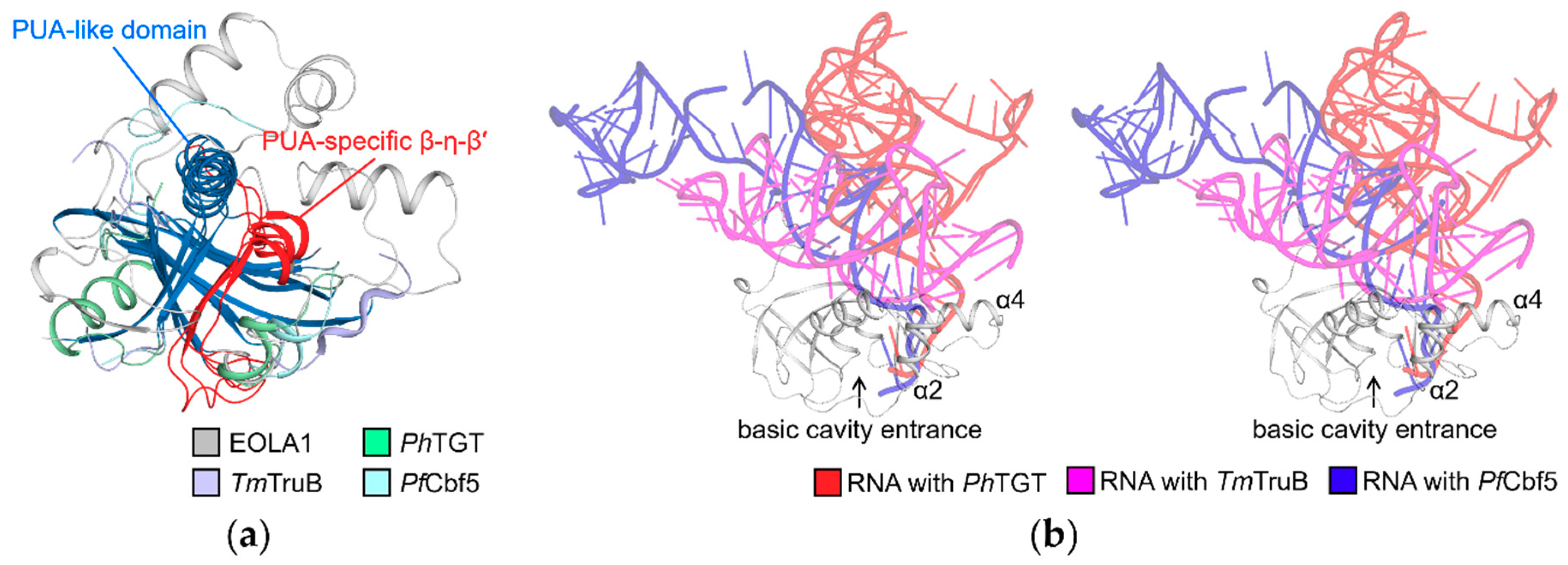 Molecules 24 03529 g003 Molecules 24 03529 g003