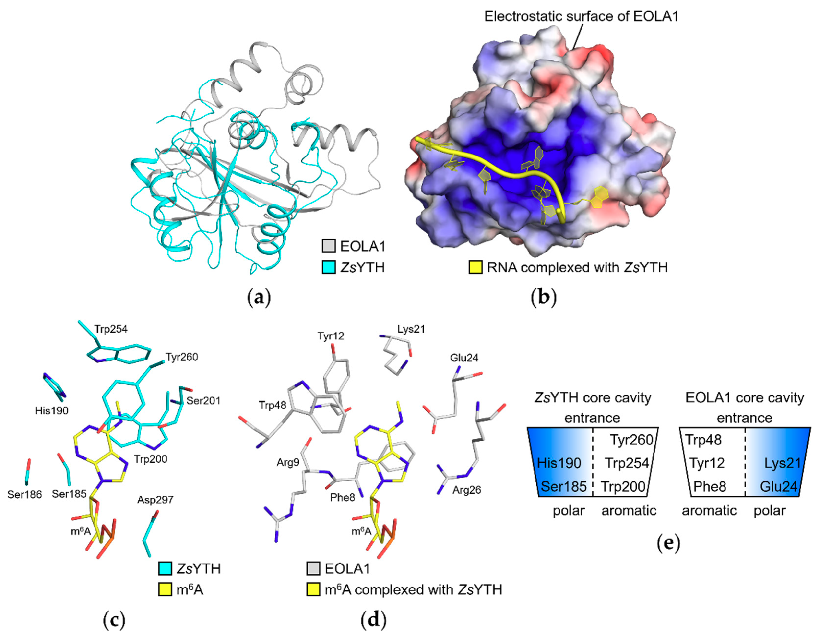 Molecules 24 03529 g004 Molecules 24 03529 g004