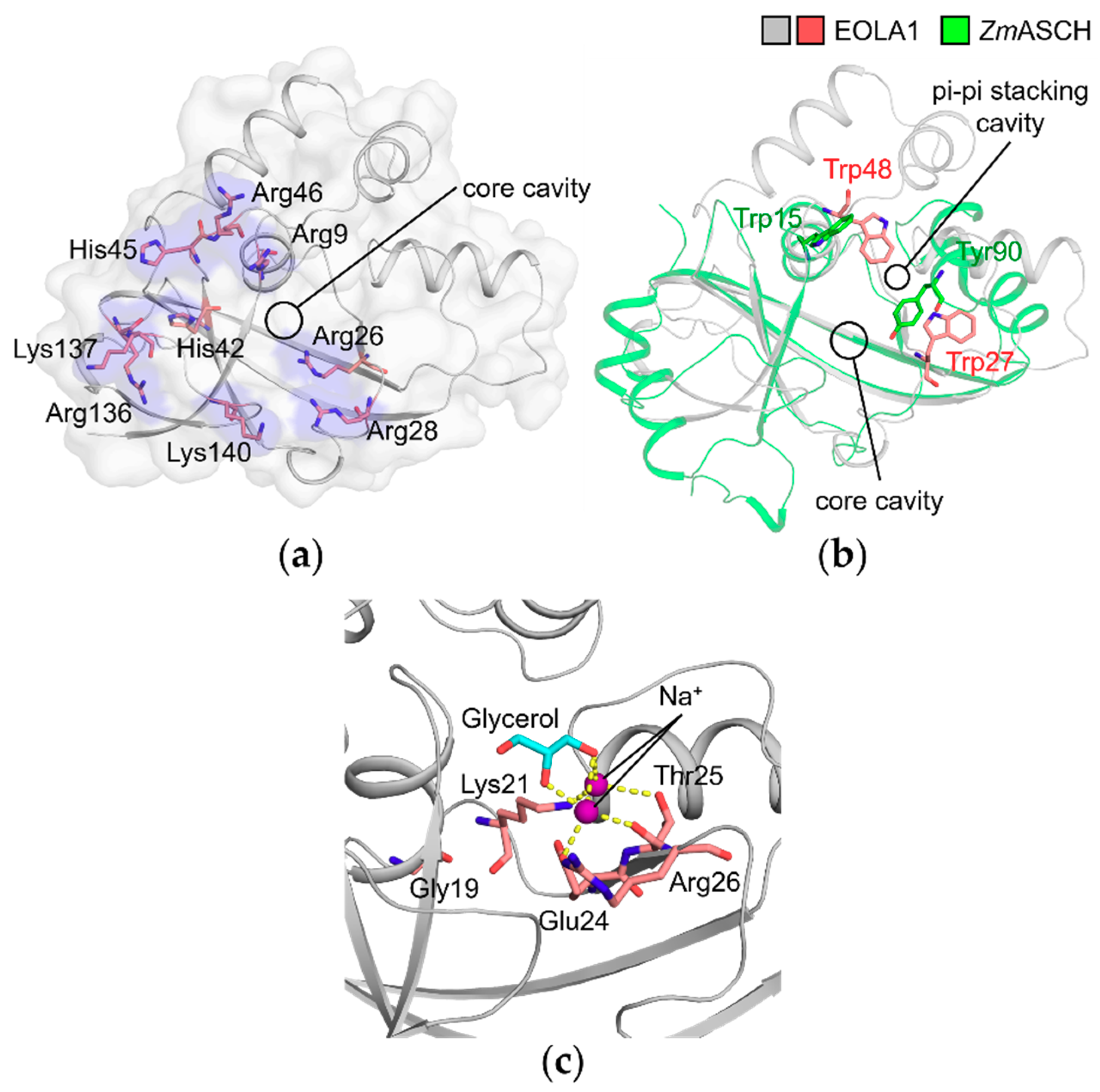 Molecules 24 03529 g005 Molecules 24 03529 g005