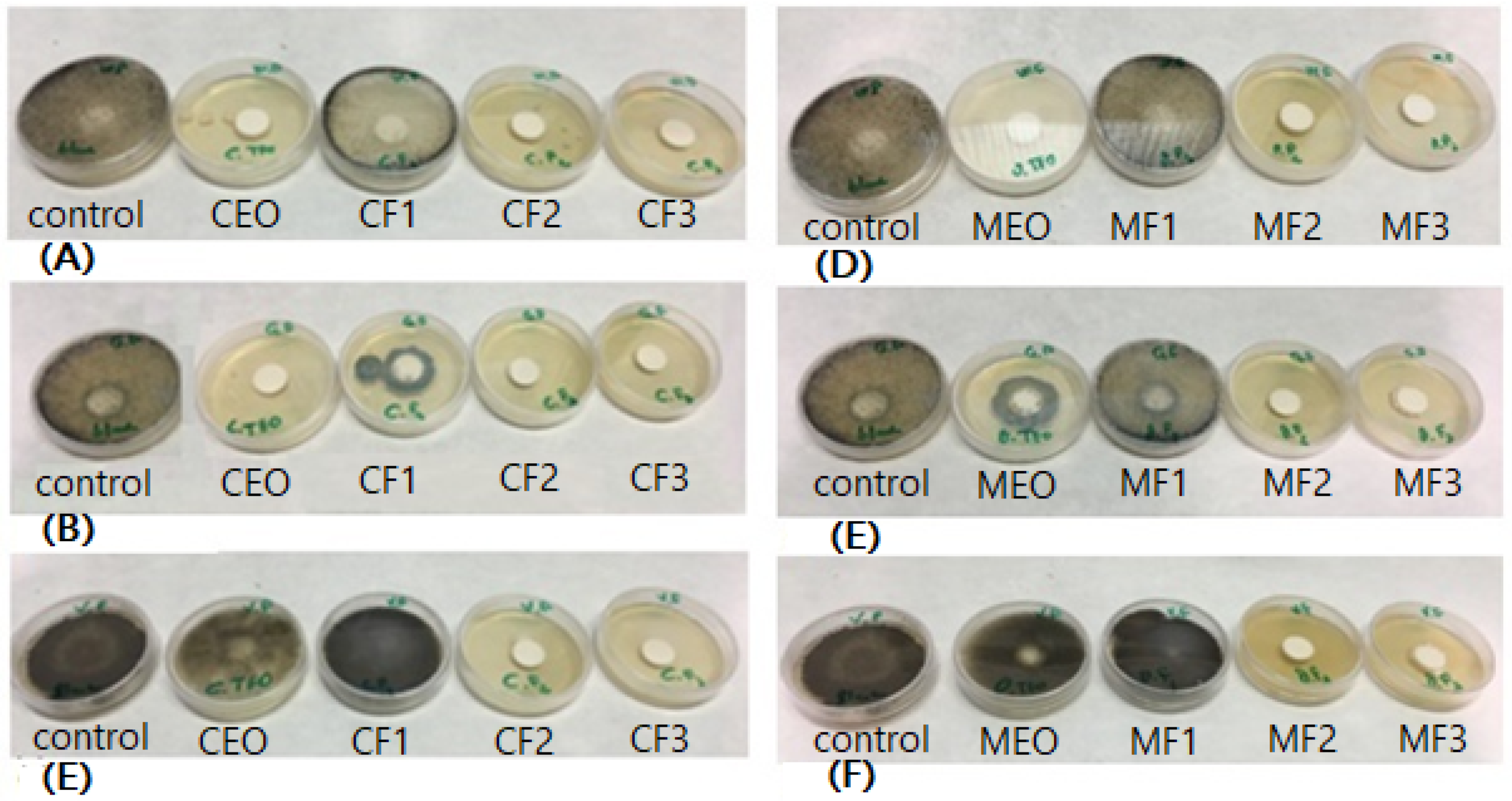 Molecules 24 03532 g002 Molecules 24 03532 g002