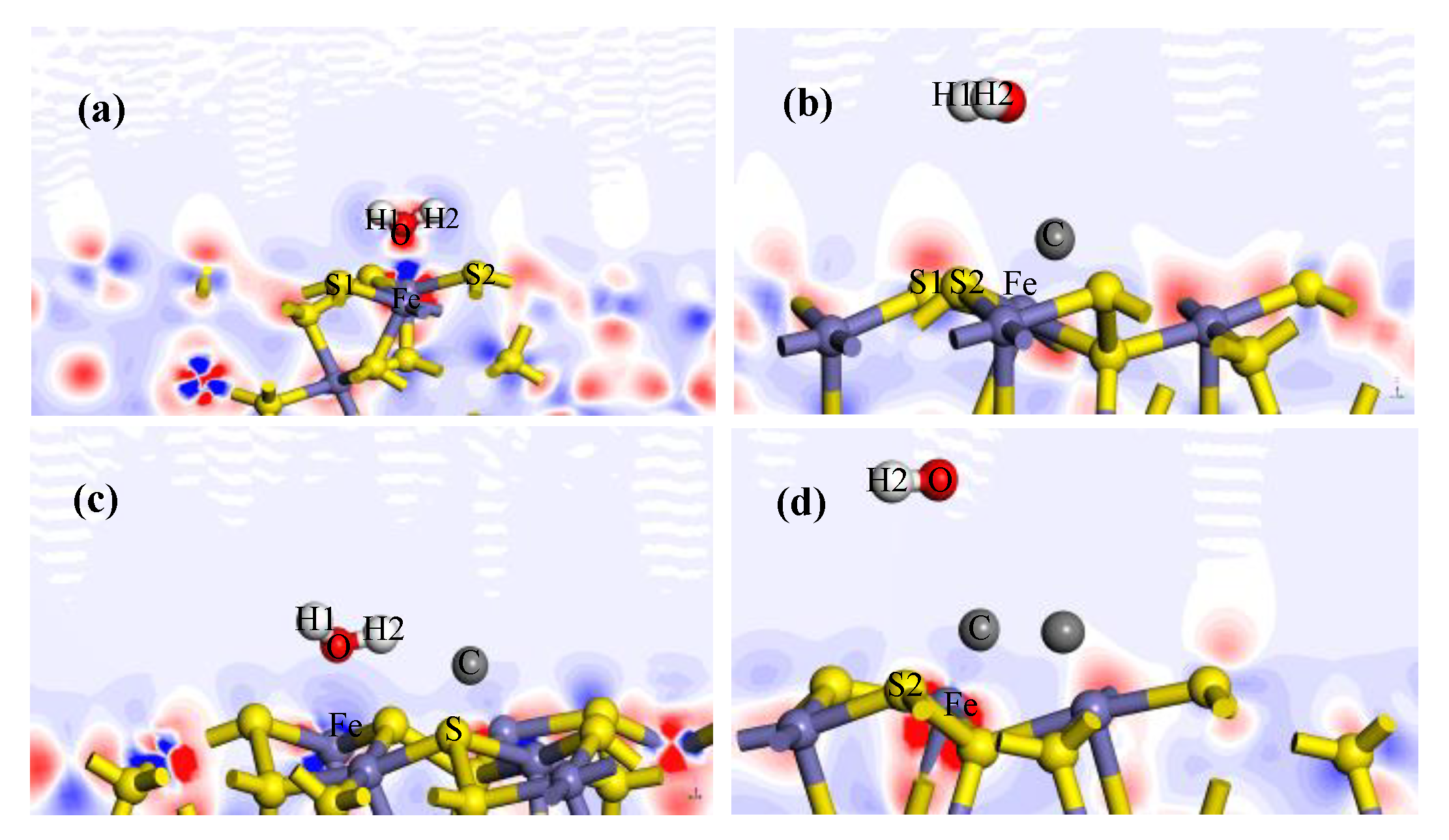Molecules 24 03534 g004
