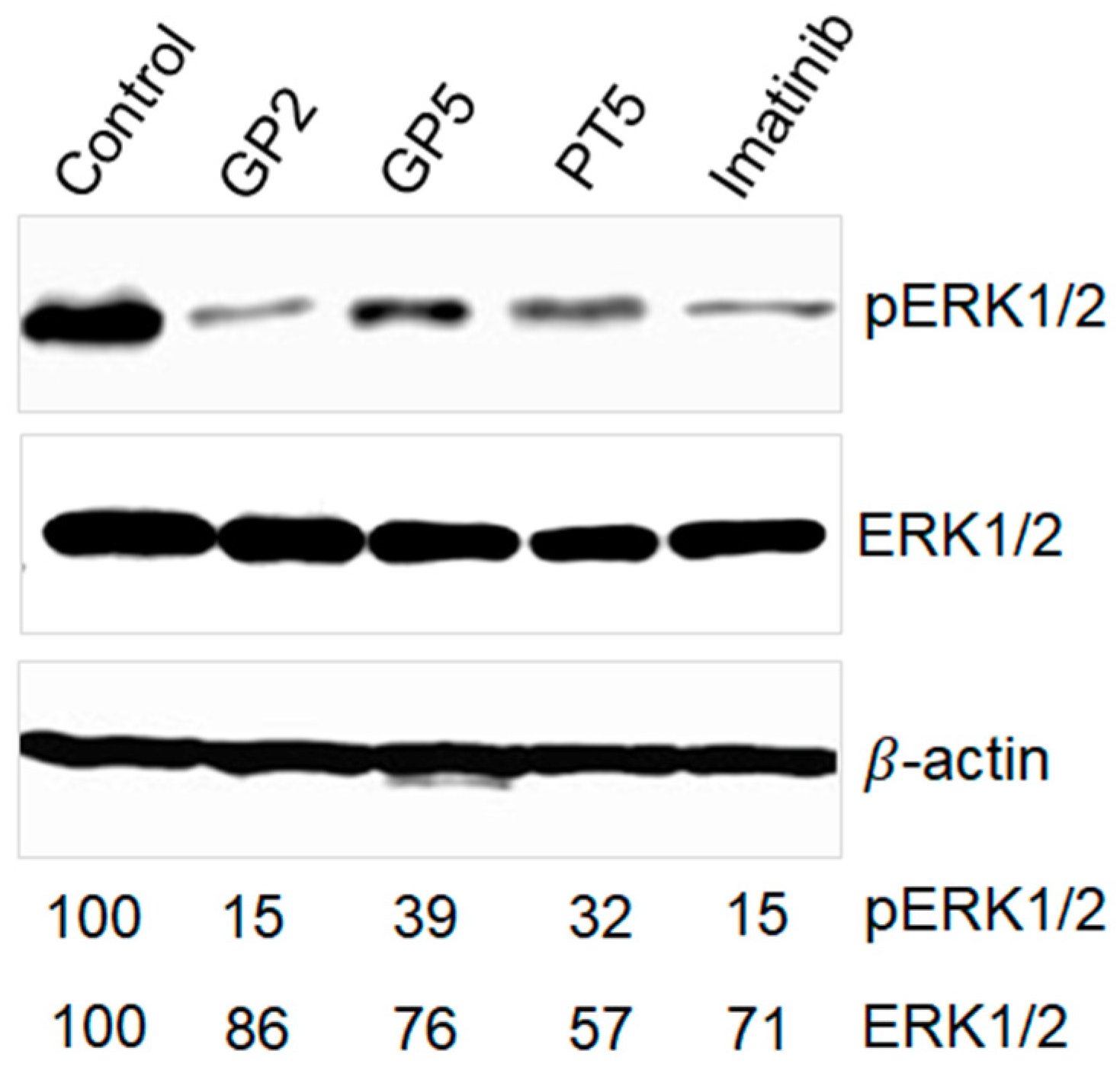 Molecules 24 03535 g004 Molecules 24 03535 g004