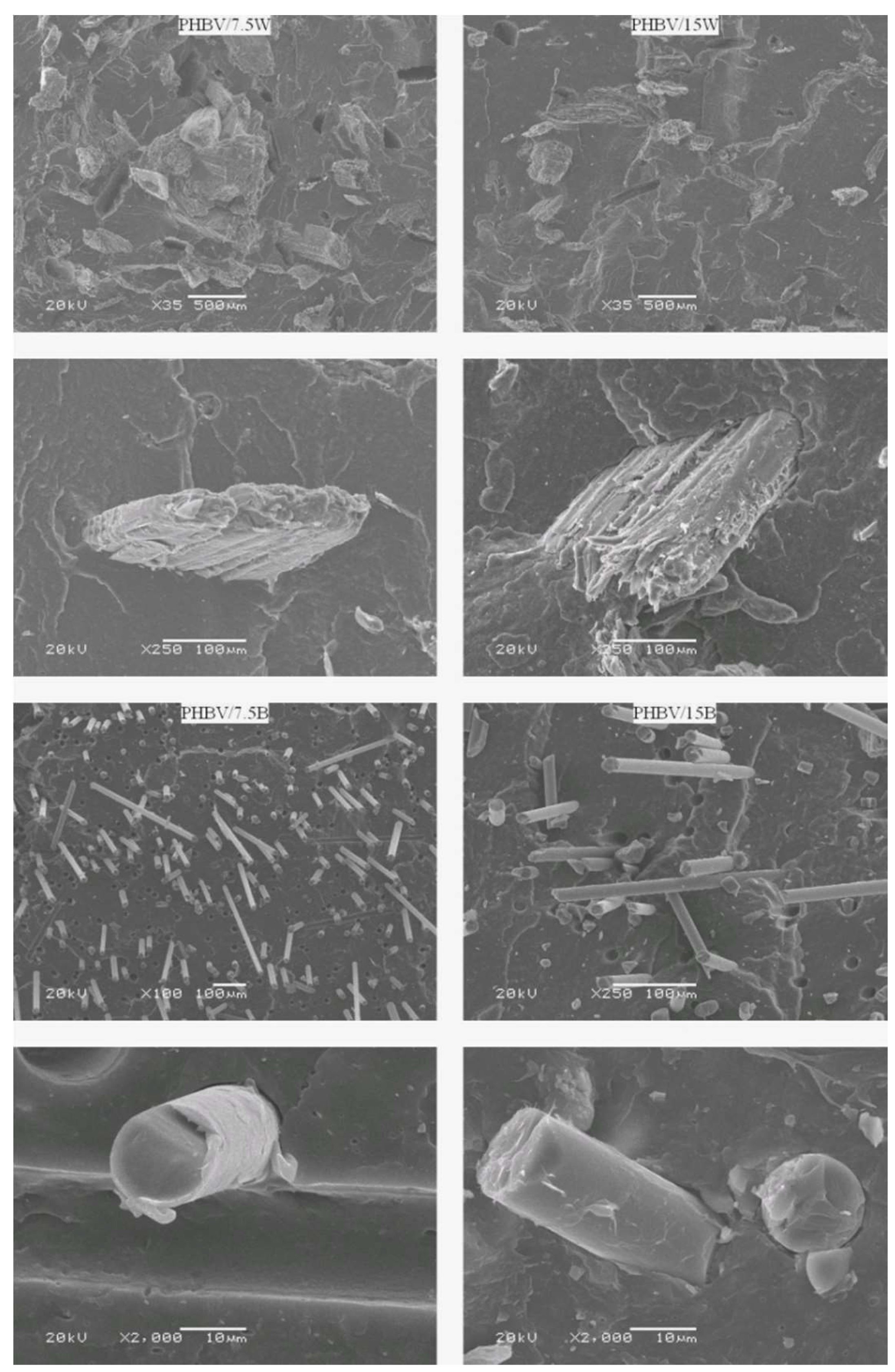 Molecules 24 03538 g001 Molecules 24 03538 g001