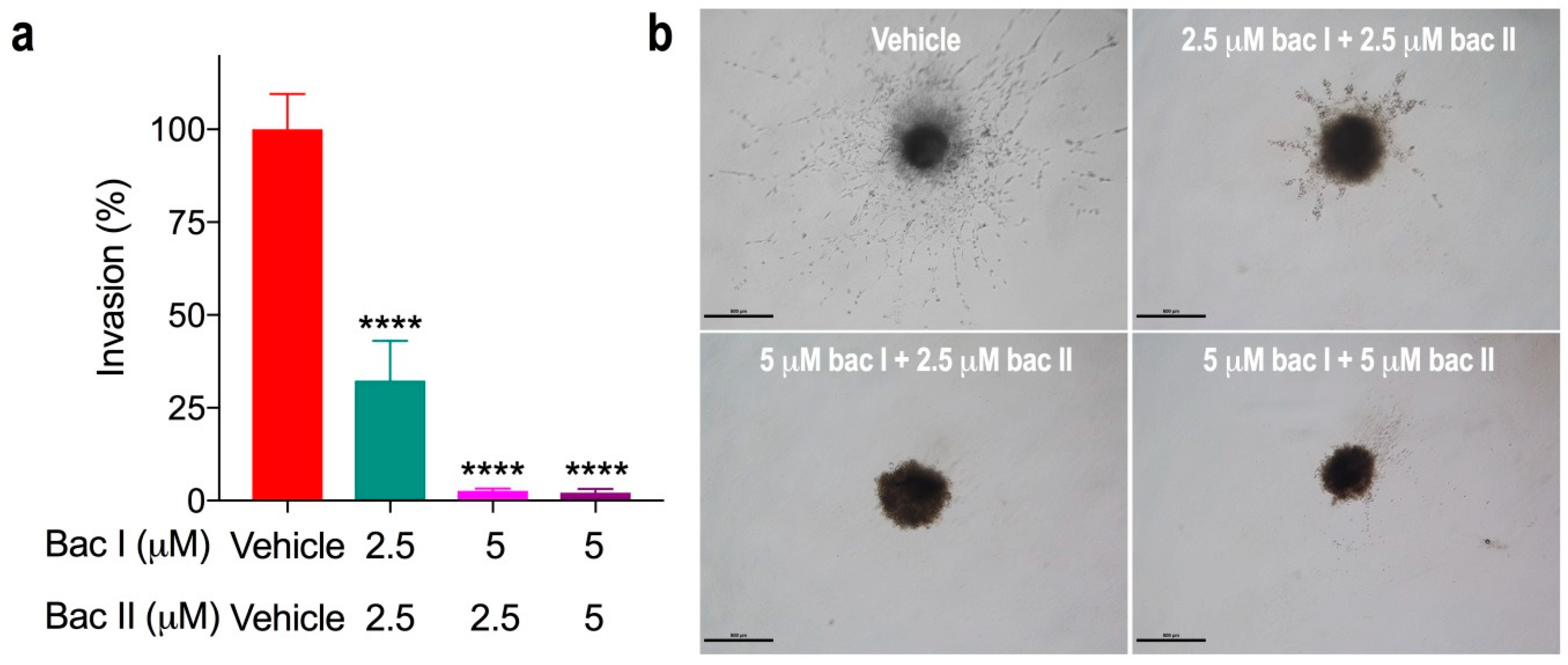 Molecules 24 03539 g006 Molecules 24 03539 g006