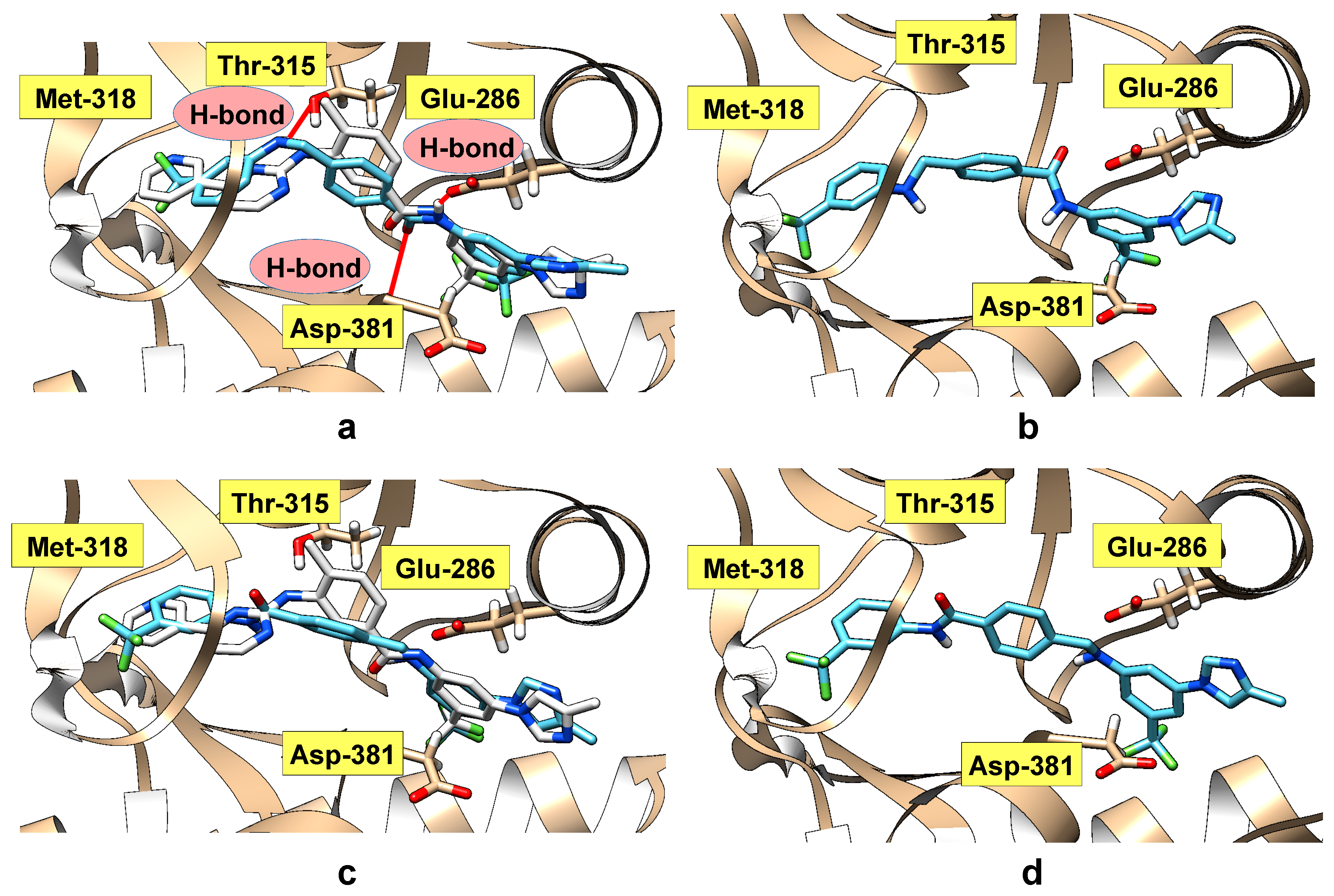 Molecules 24 03543 g003