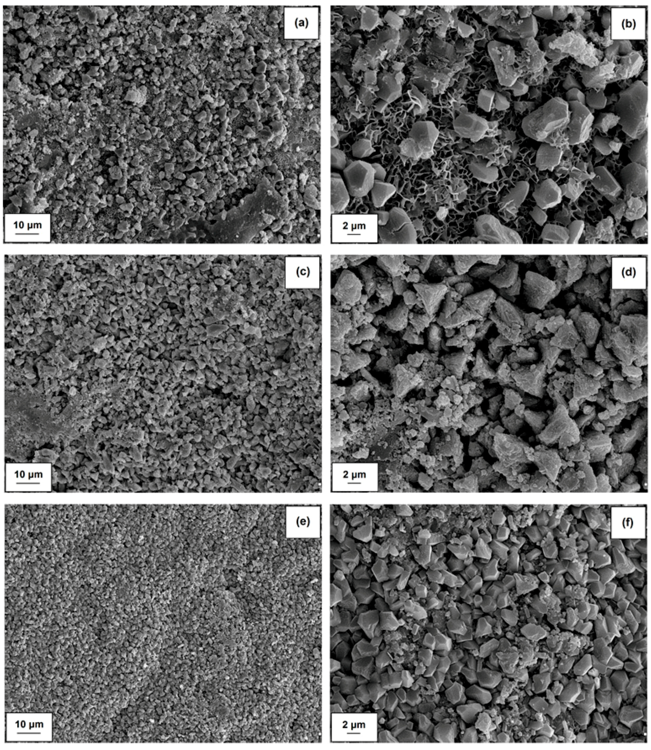 Molecules 24 03544 g007