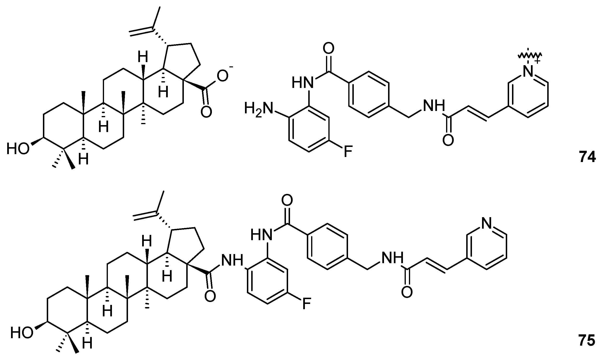 Molecules 24 03546 g004