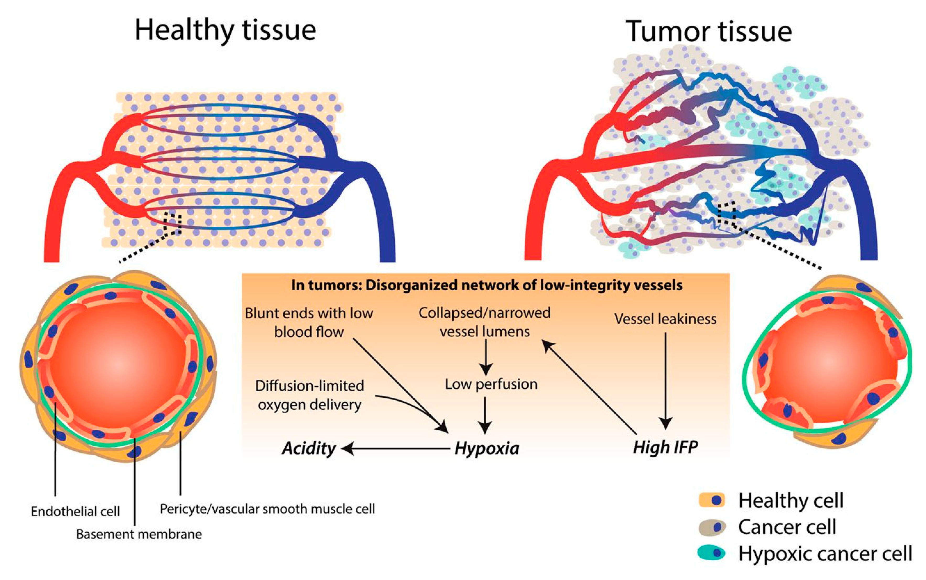 Molecules 24 03547 g001