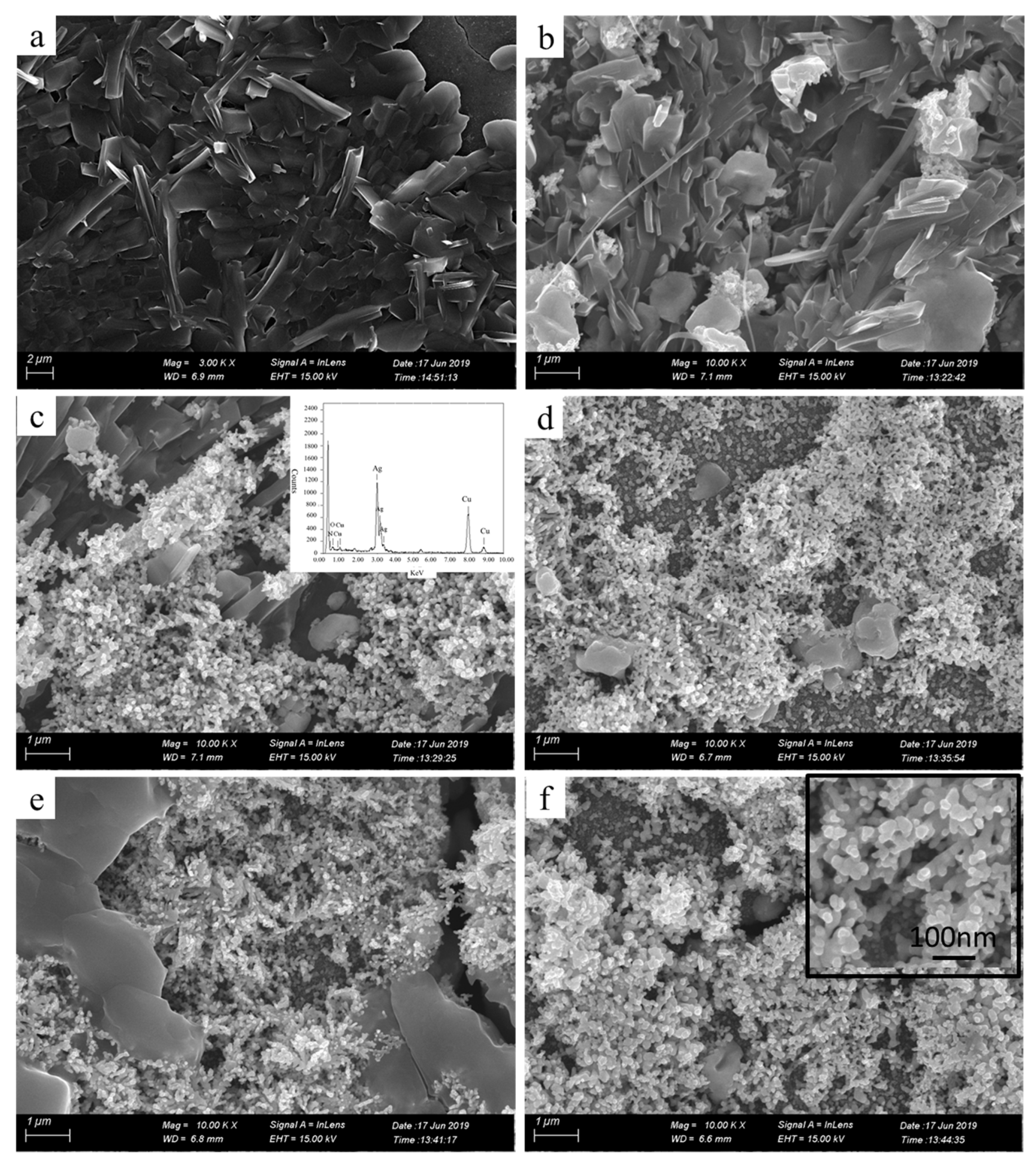Molecules 24 03548 g003 Molecules 24 03548 g003