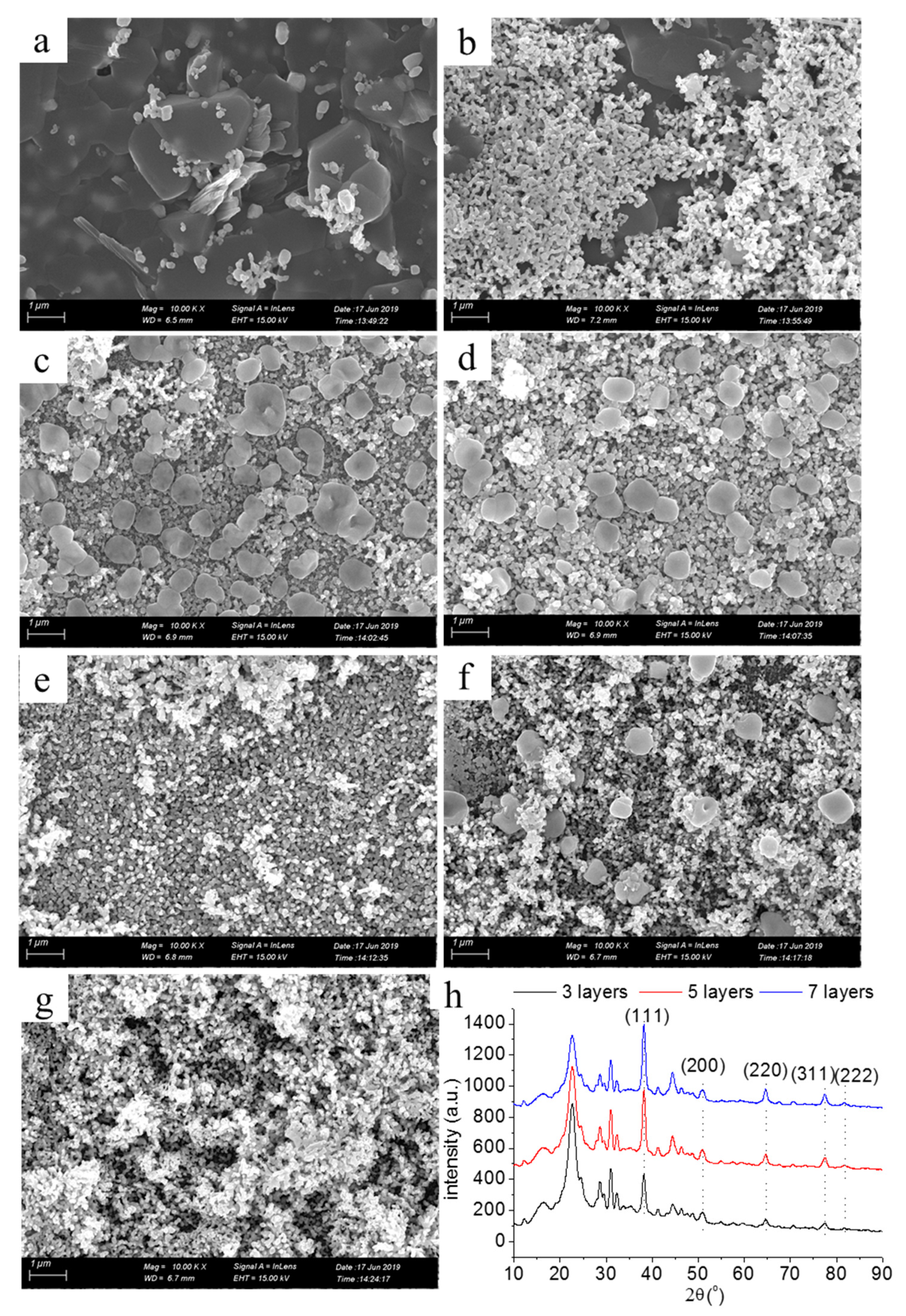 Molecules 24 03548 g006 Molecules 24 03548 g006