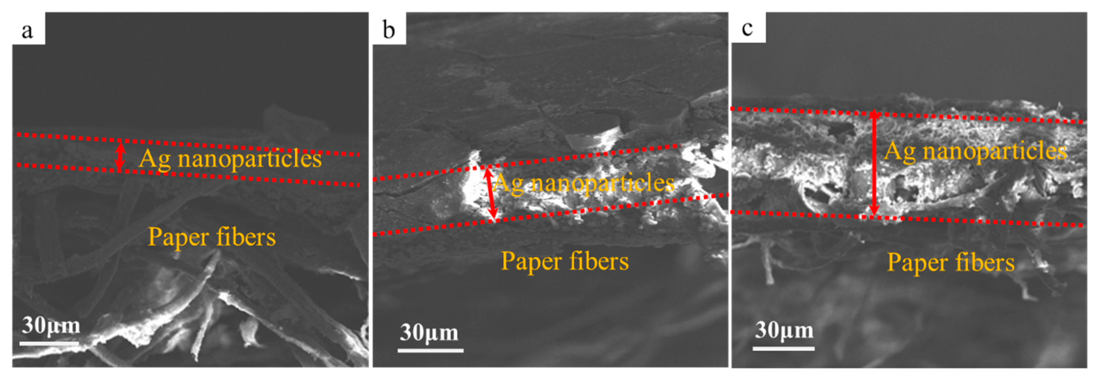 Molecules 24 03548 g007 Molecules 24 03548 g007