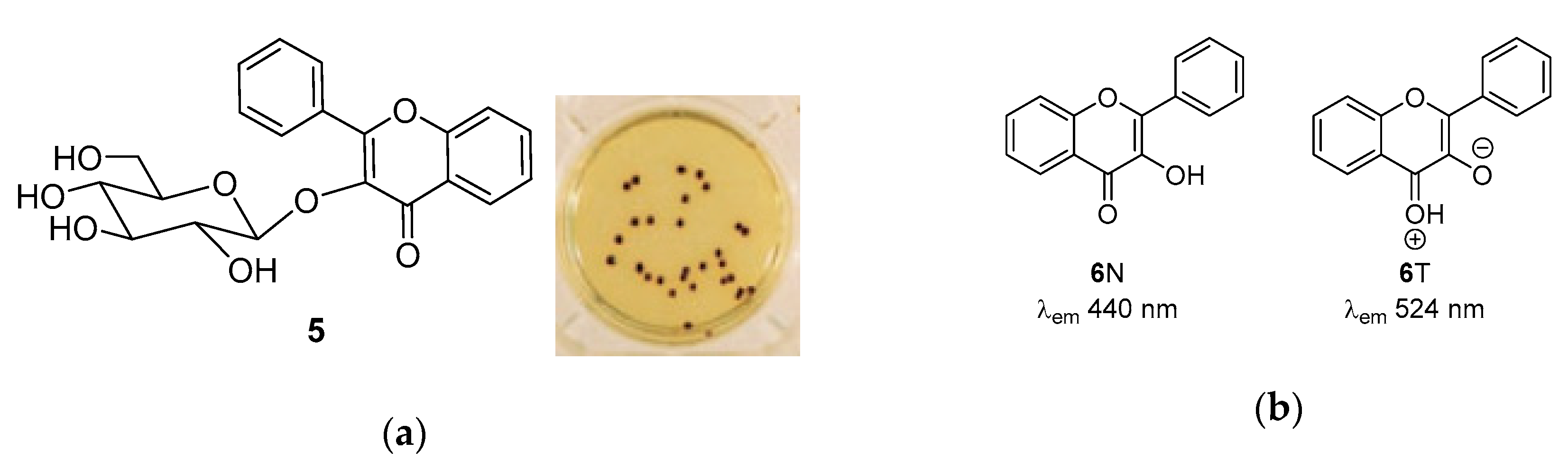 Molecules 24 03550 g001