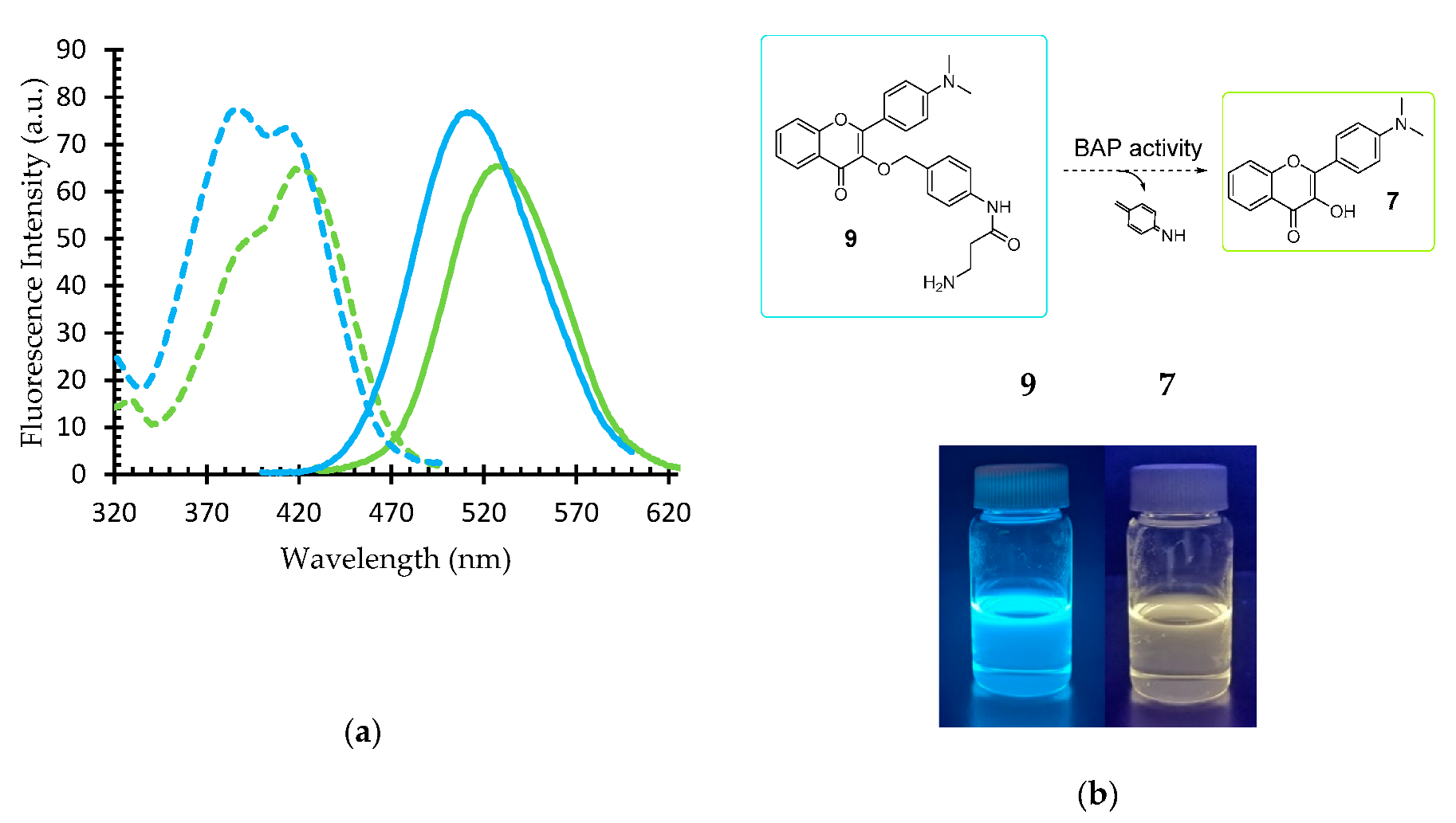 Molecules 24 03550 g002