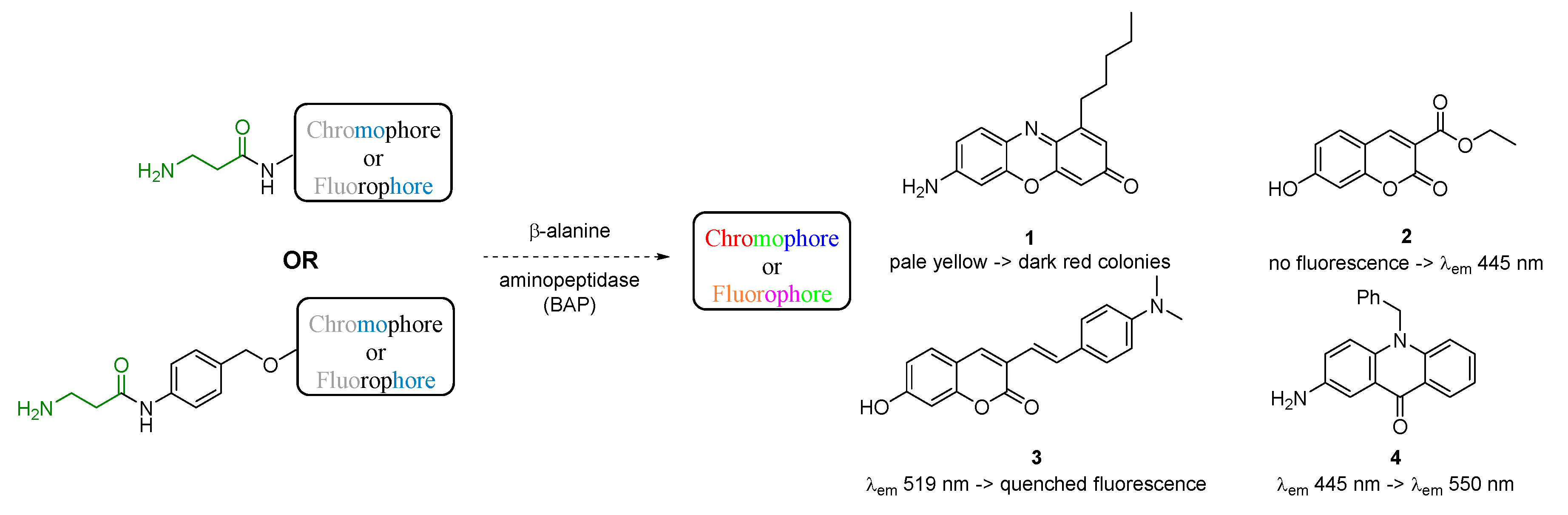 Molecules 24 03550 sch001