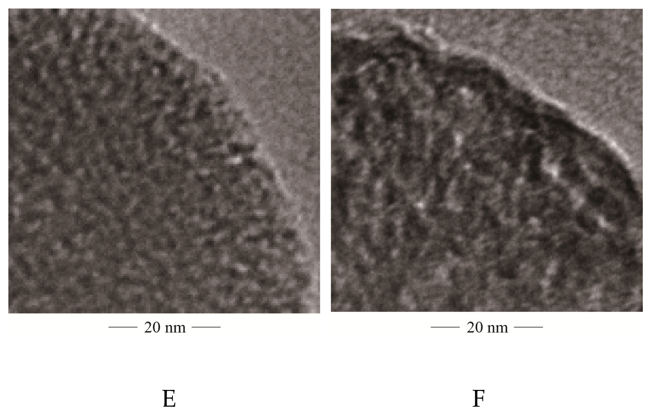 Molecules 24 03552 g003b Molecules 24 03552 g003b