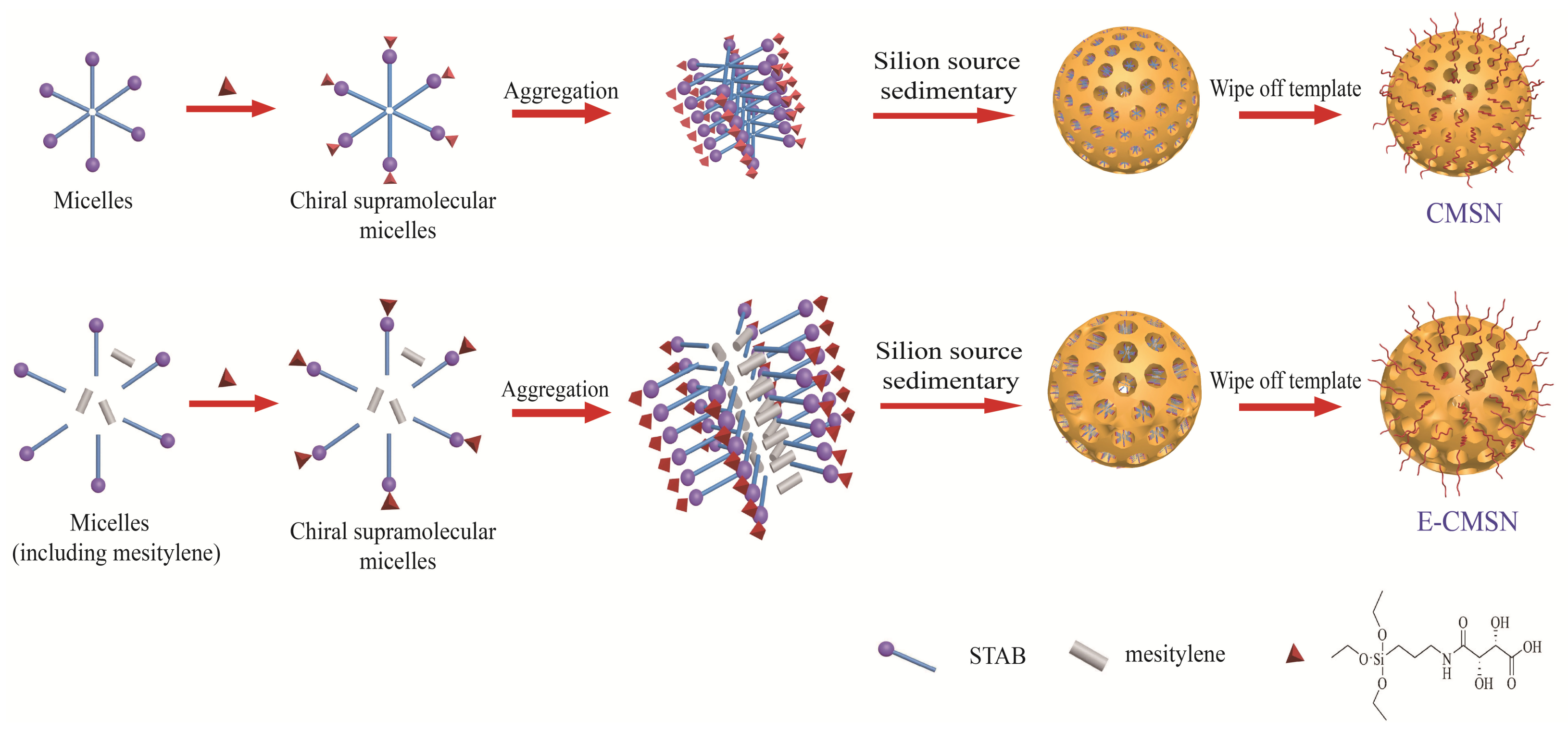 Molecules 24 03552 g011 Molecules 24 03552 g011