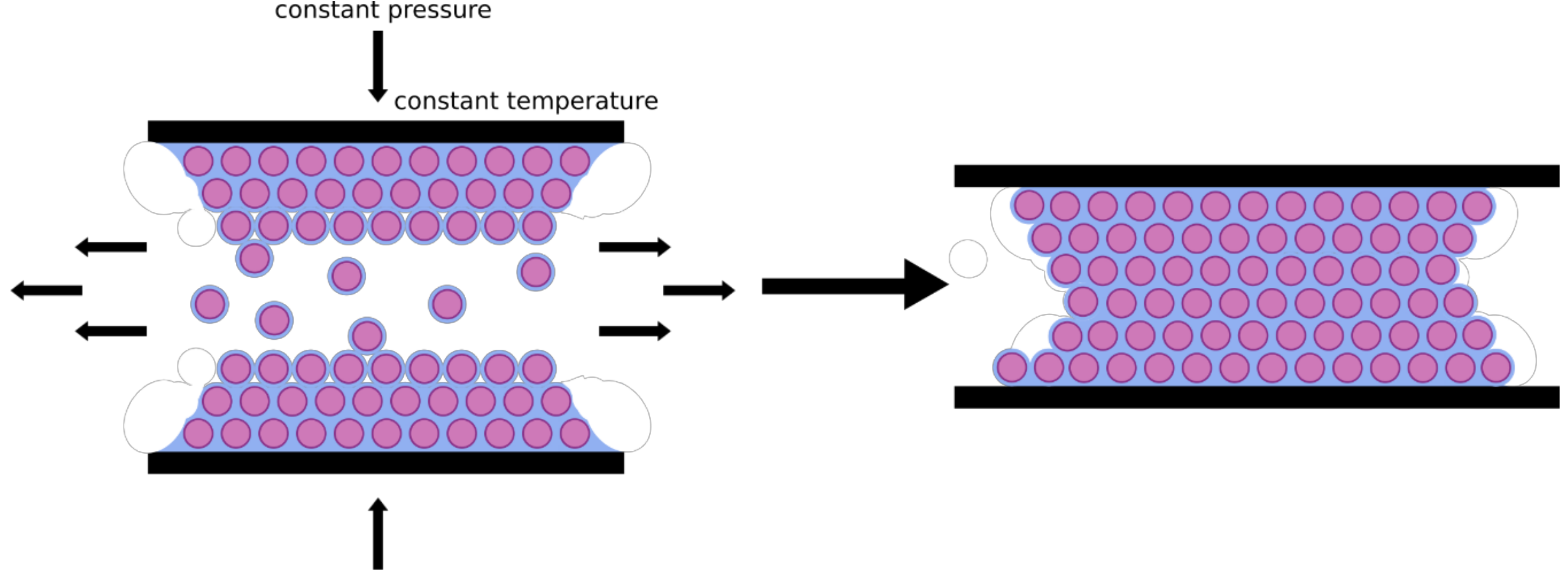 Molecules 24 03553 g004