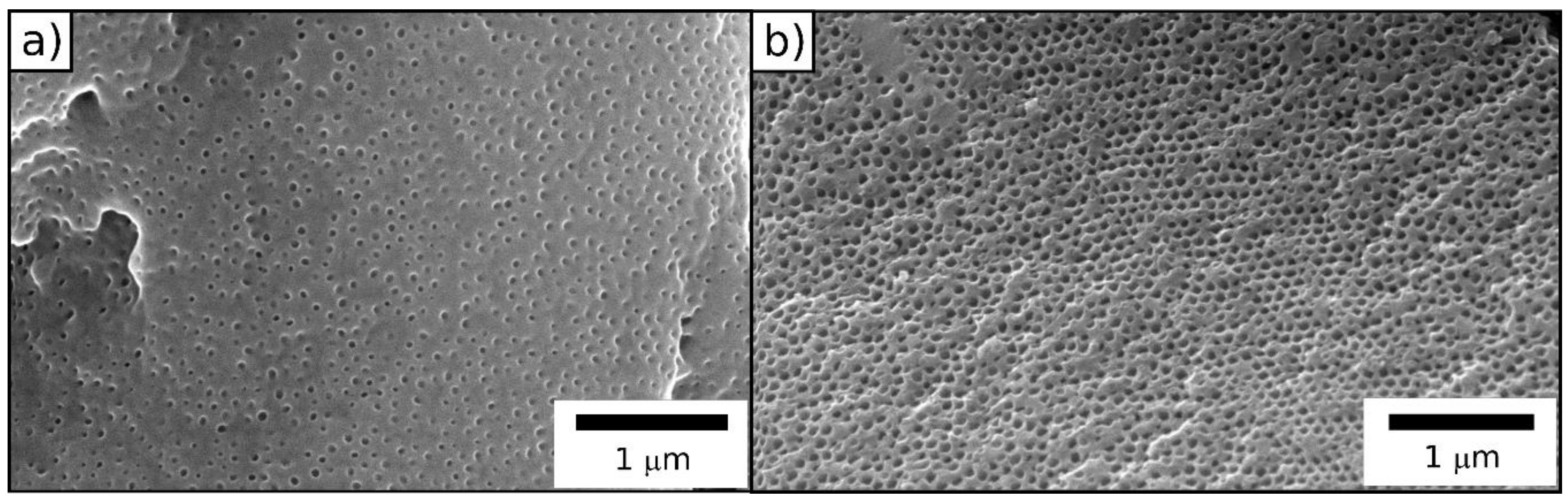 Molecules 24 03553 g007