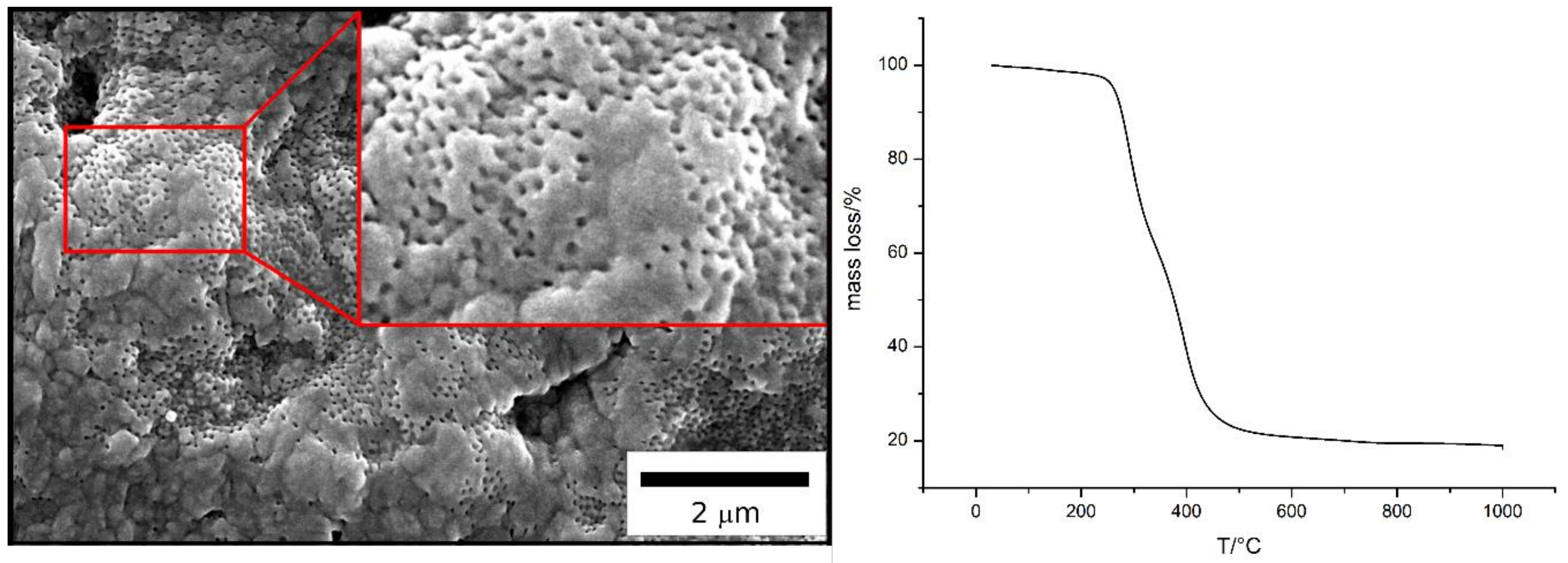 Molecules 24 03553 g009