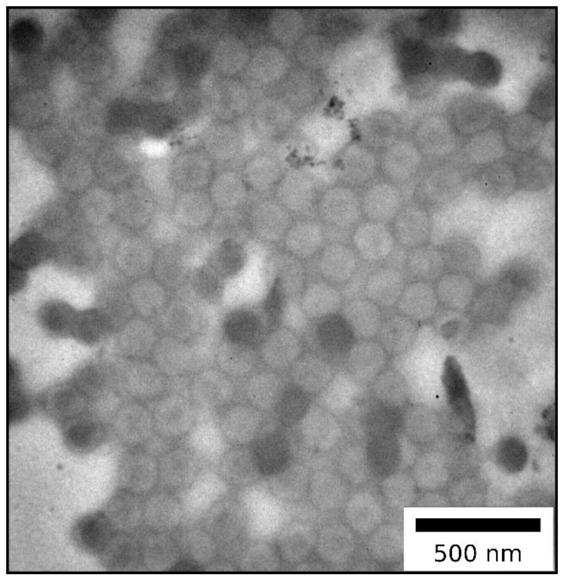 Molecules 24 03553 g010
