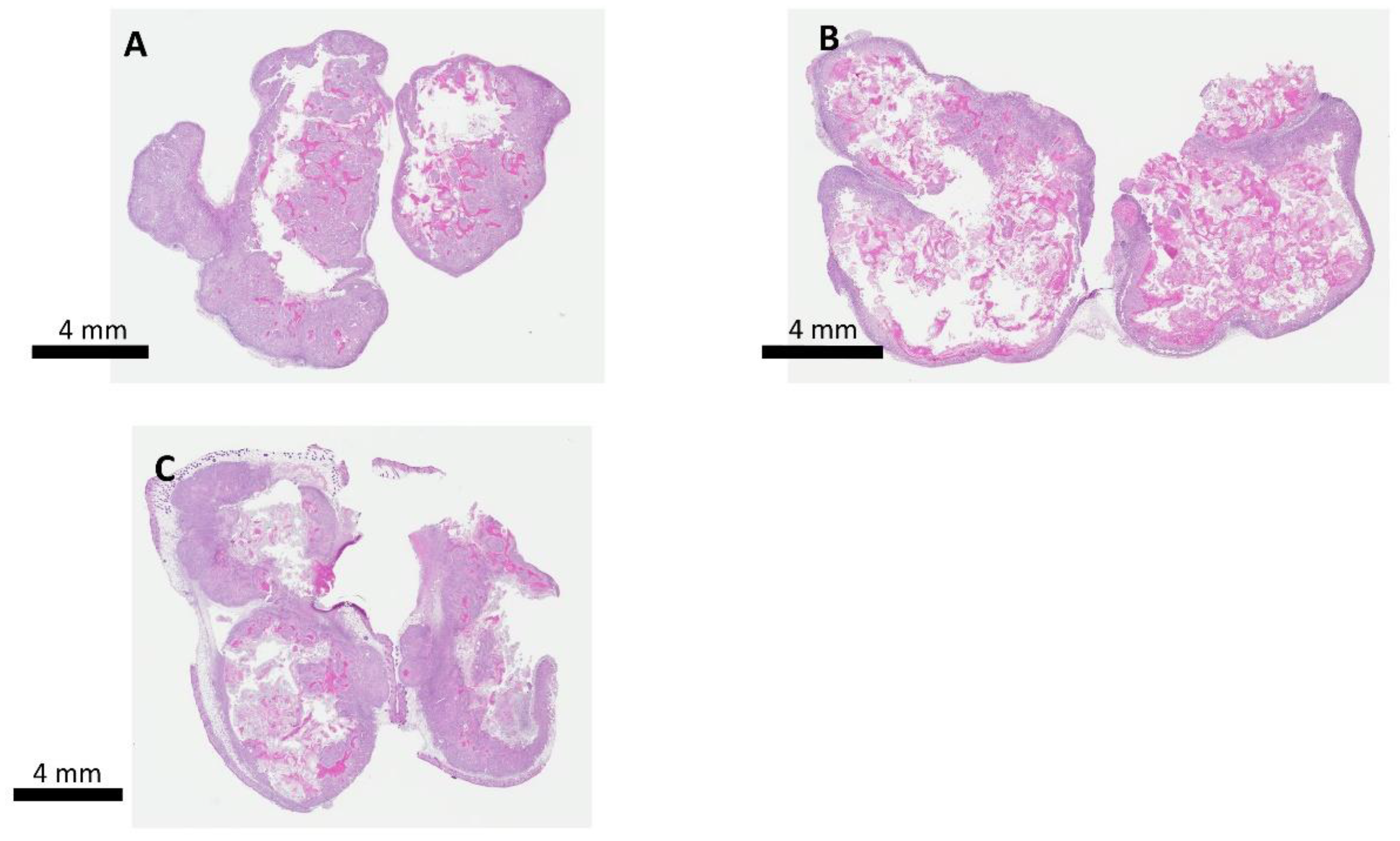 Molecules 24 03560 g008 Molecules 24 03560 g008