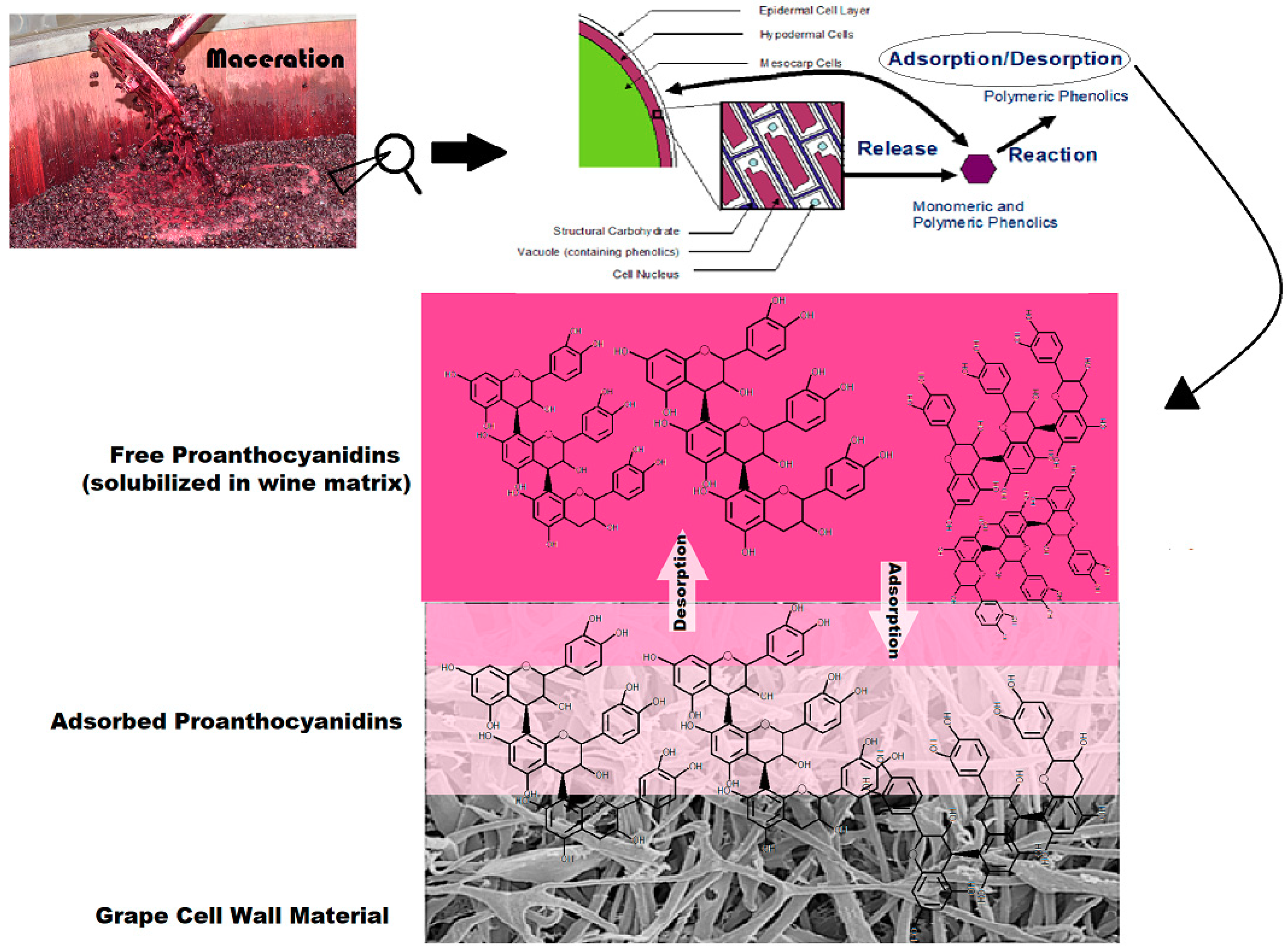 Molecules 24 03561 g001 550