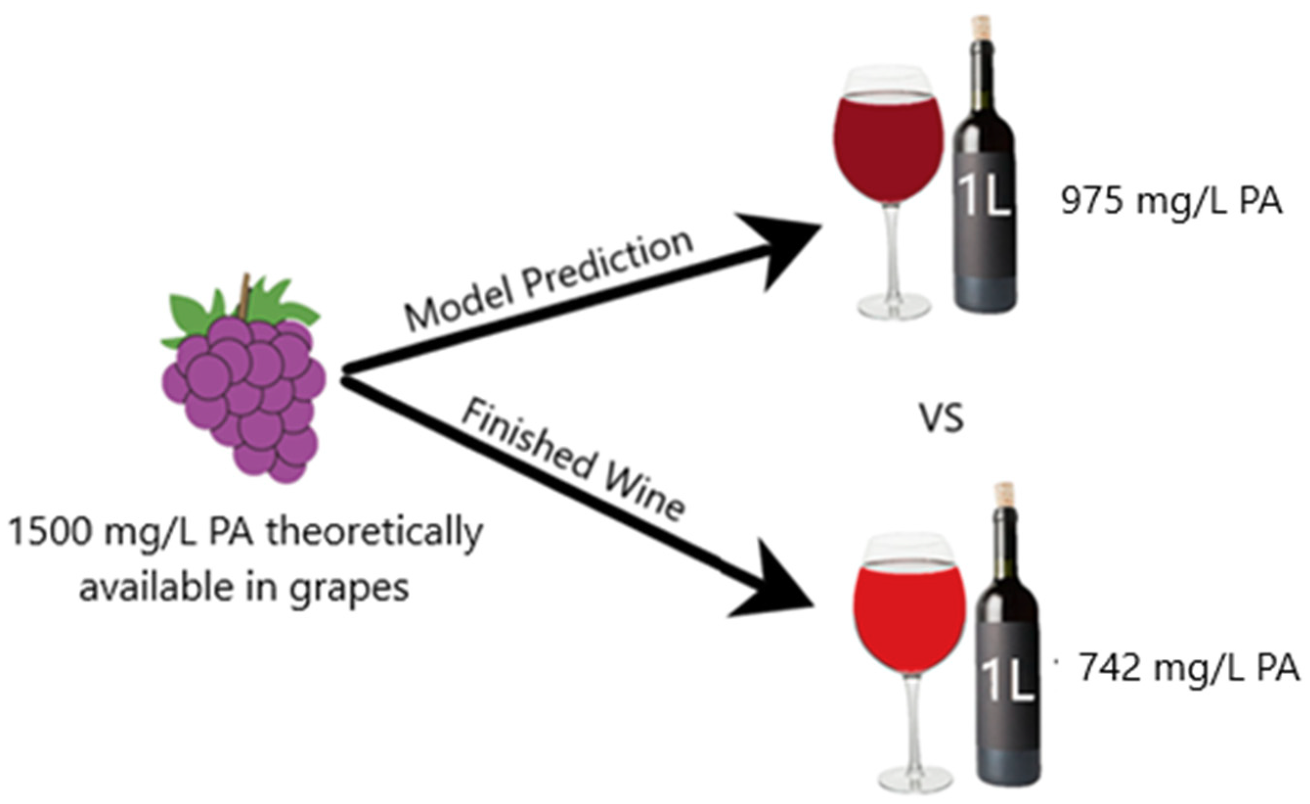 Molecules 24 03561 g005 550
