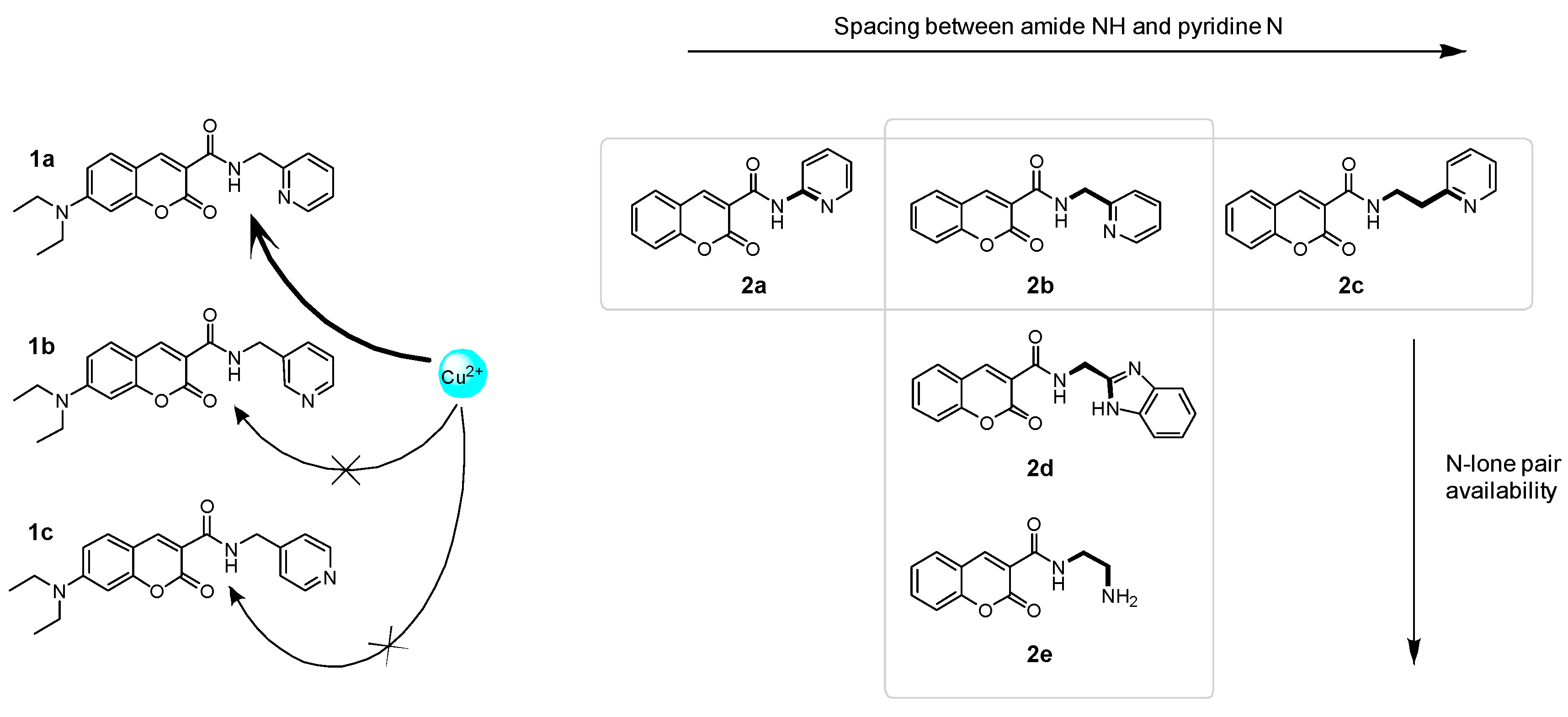 Molecules 24 03569 sch001 Molecules 24 03569 sch001