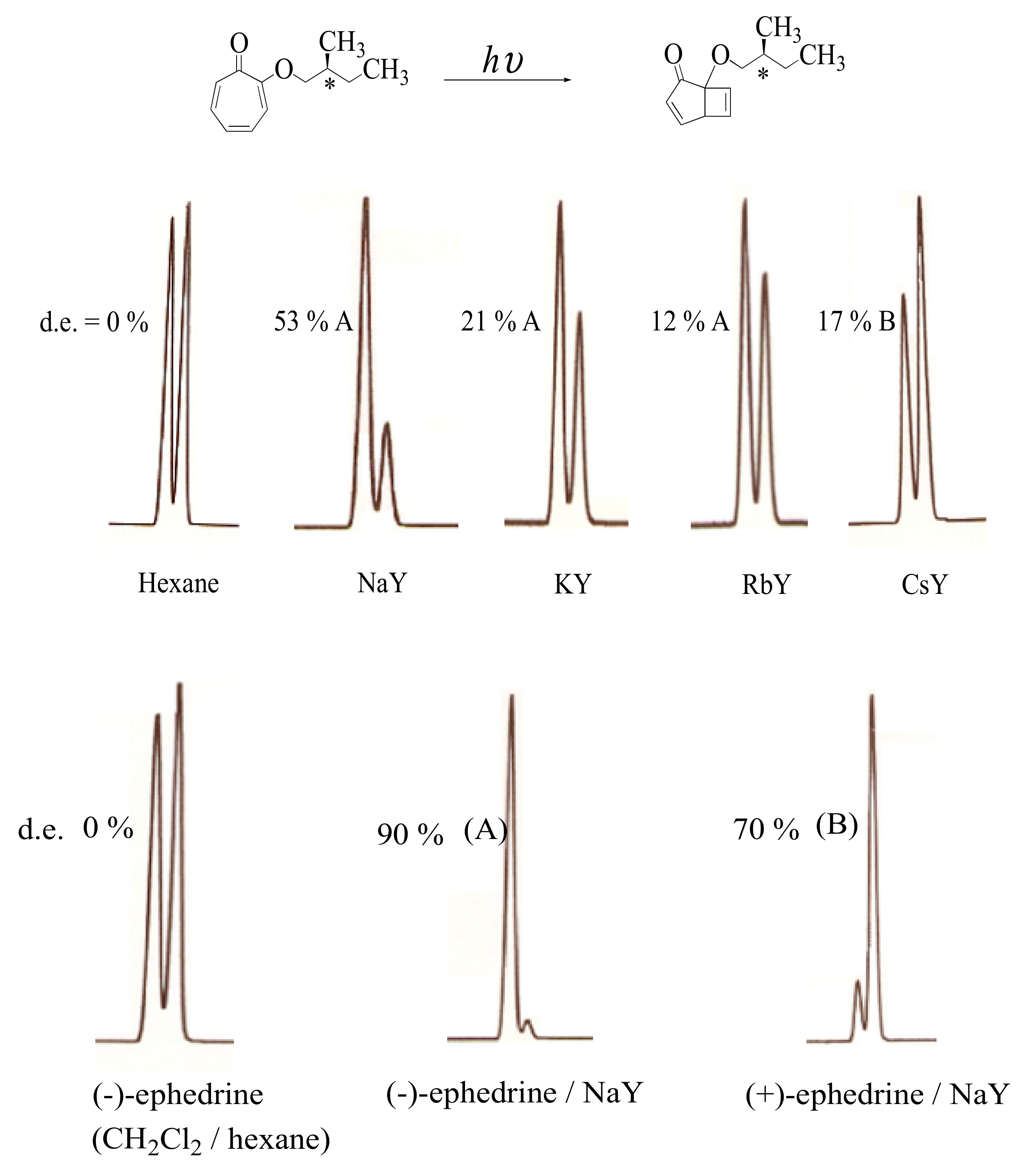 Molecules 24 03570 g004