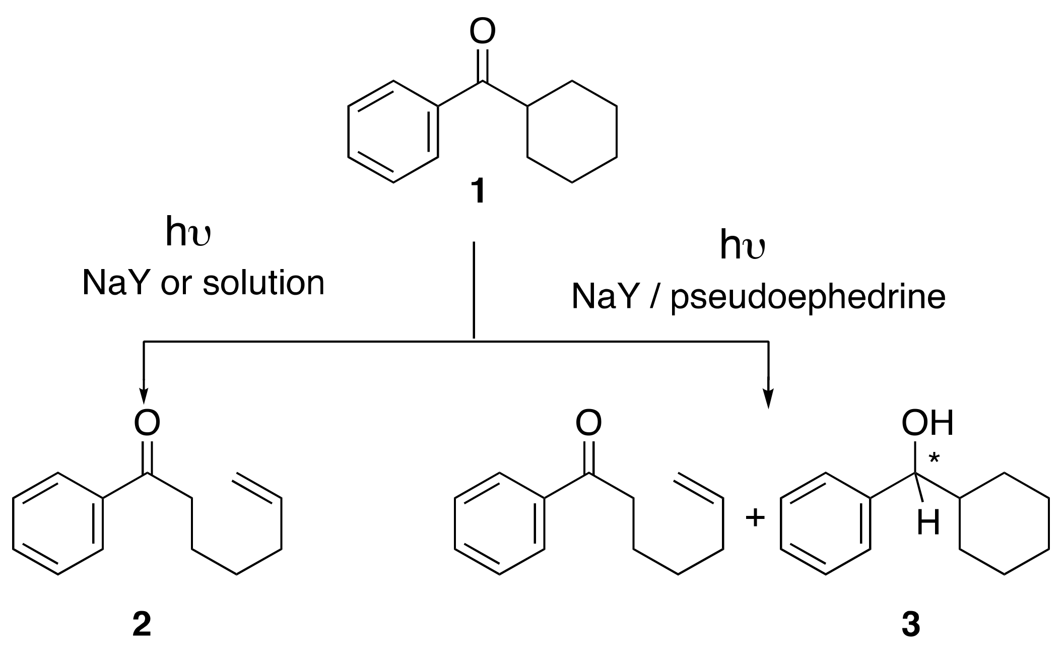 Molecules 24 03570 sch001