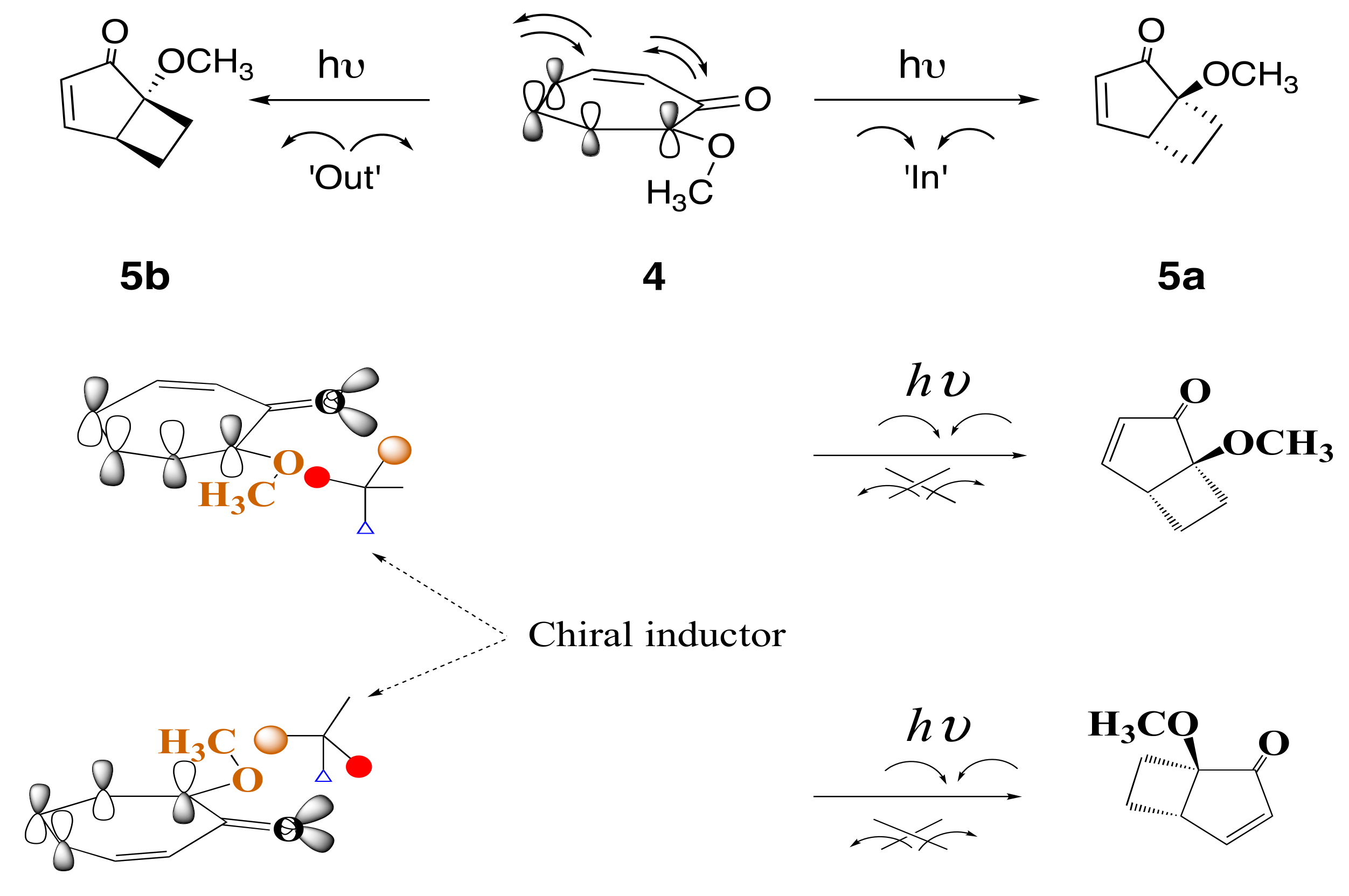 Molecules 24 03570 sch004