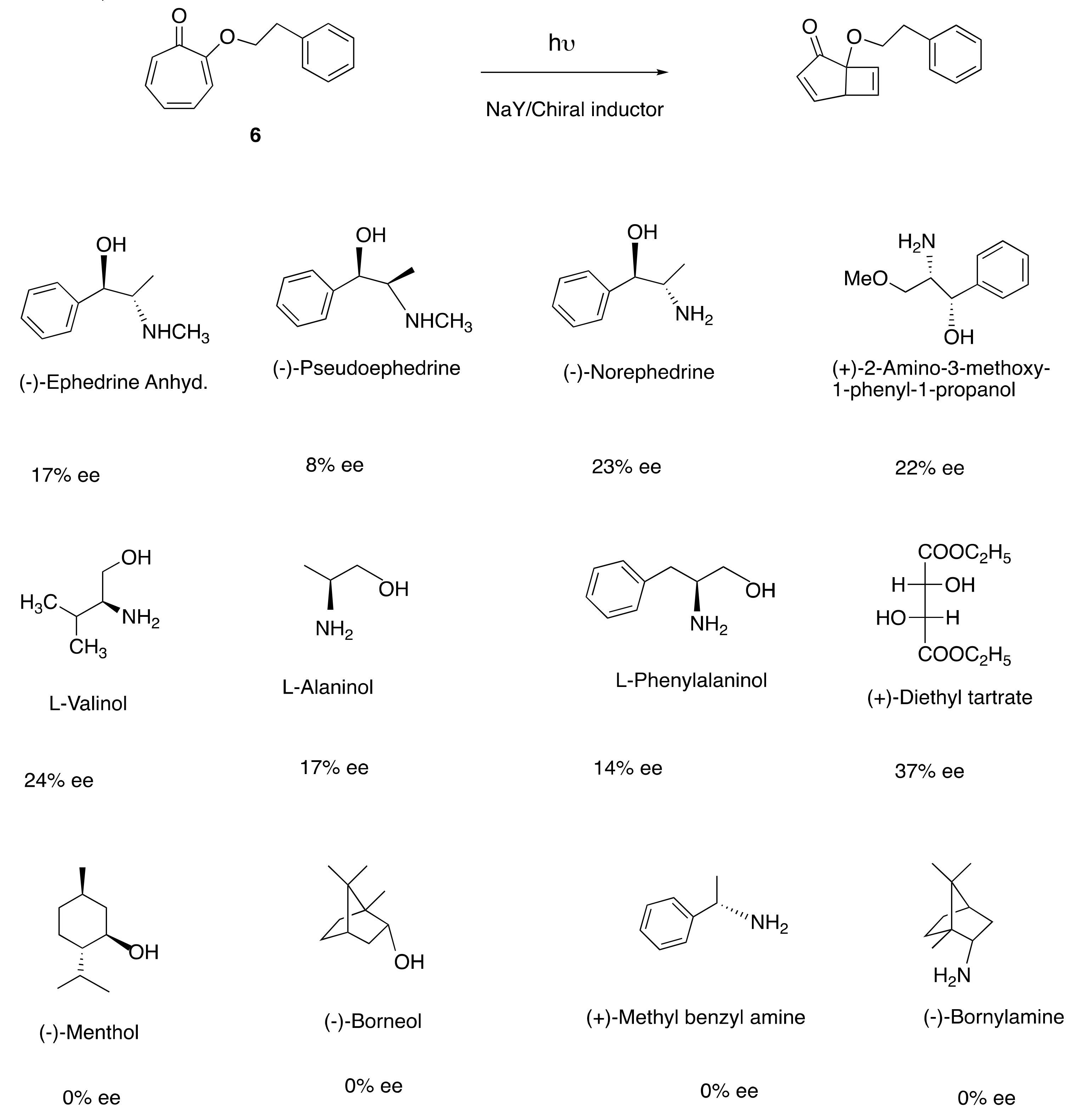Molecules 24 03570 sch005