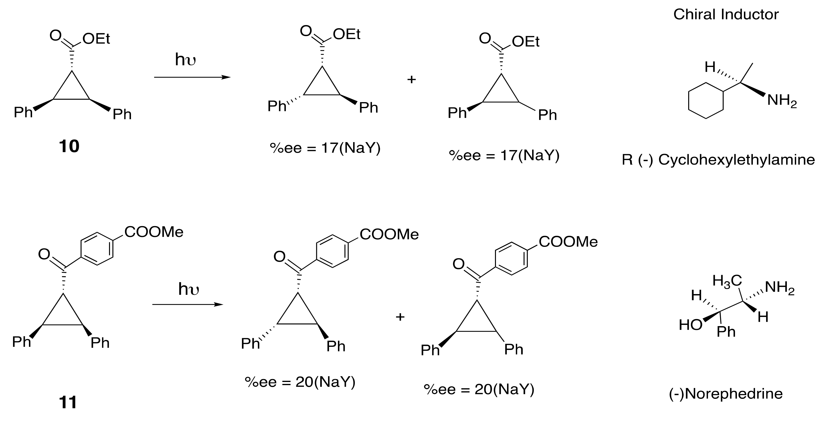 Molecules 24 03570 sch010