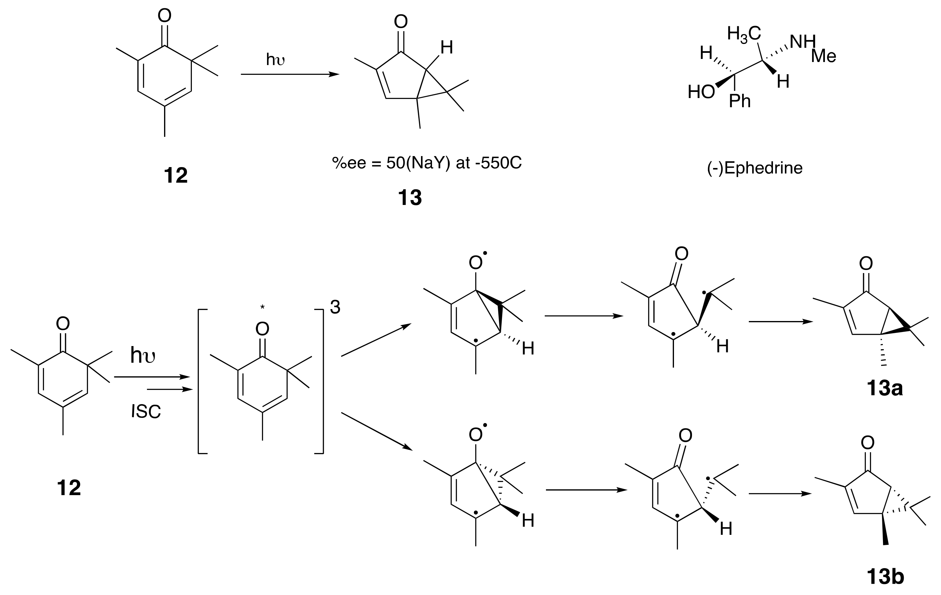 Molecules 24 03570 sch011