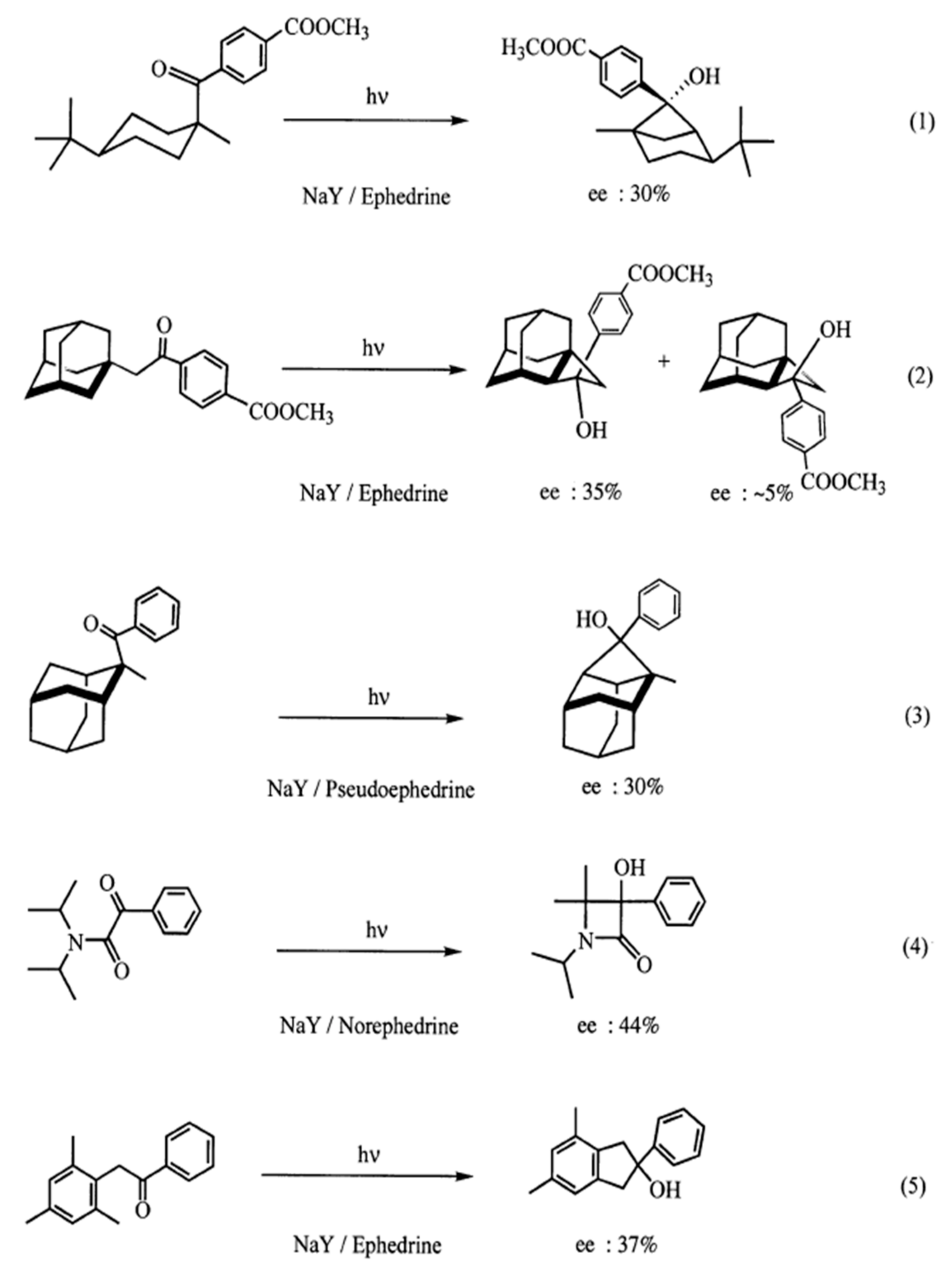 Molecules 24 03570 sch012