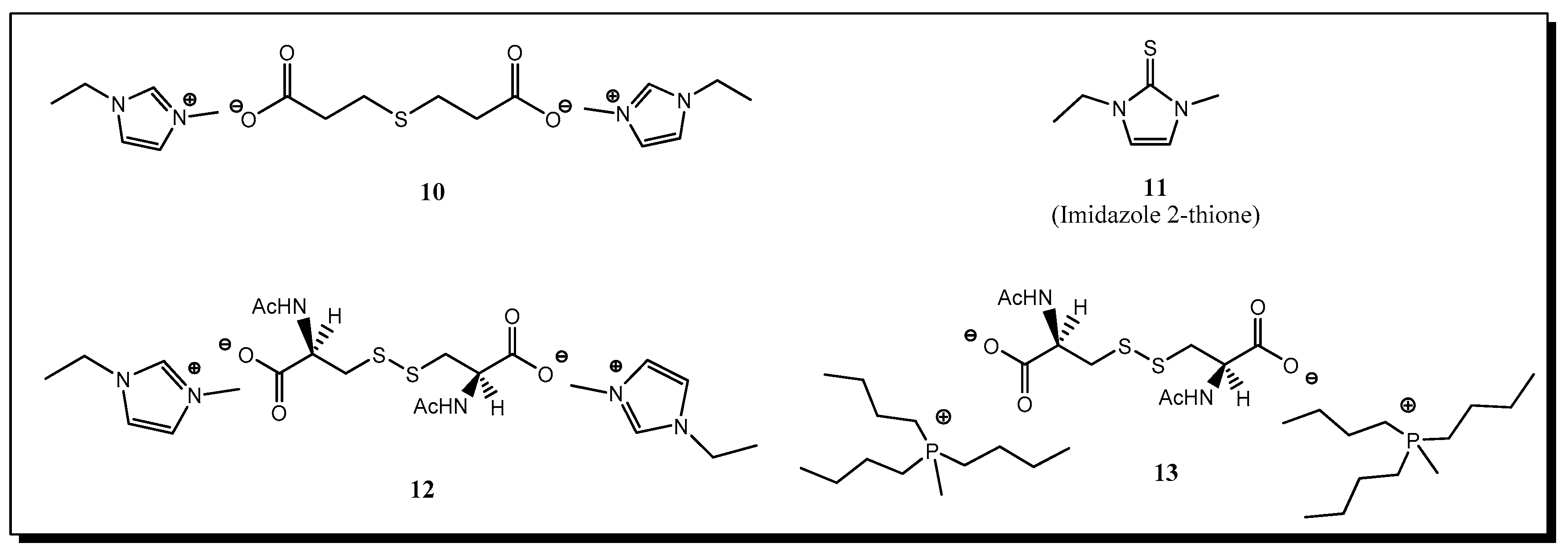 Molecules 24 03571 g001