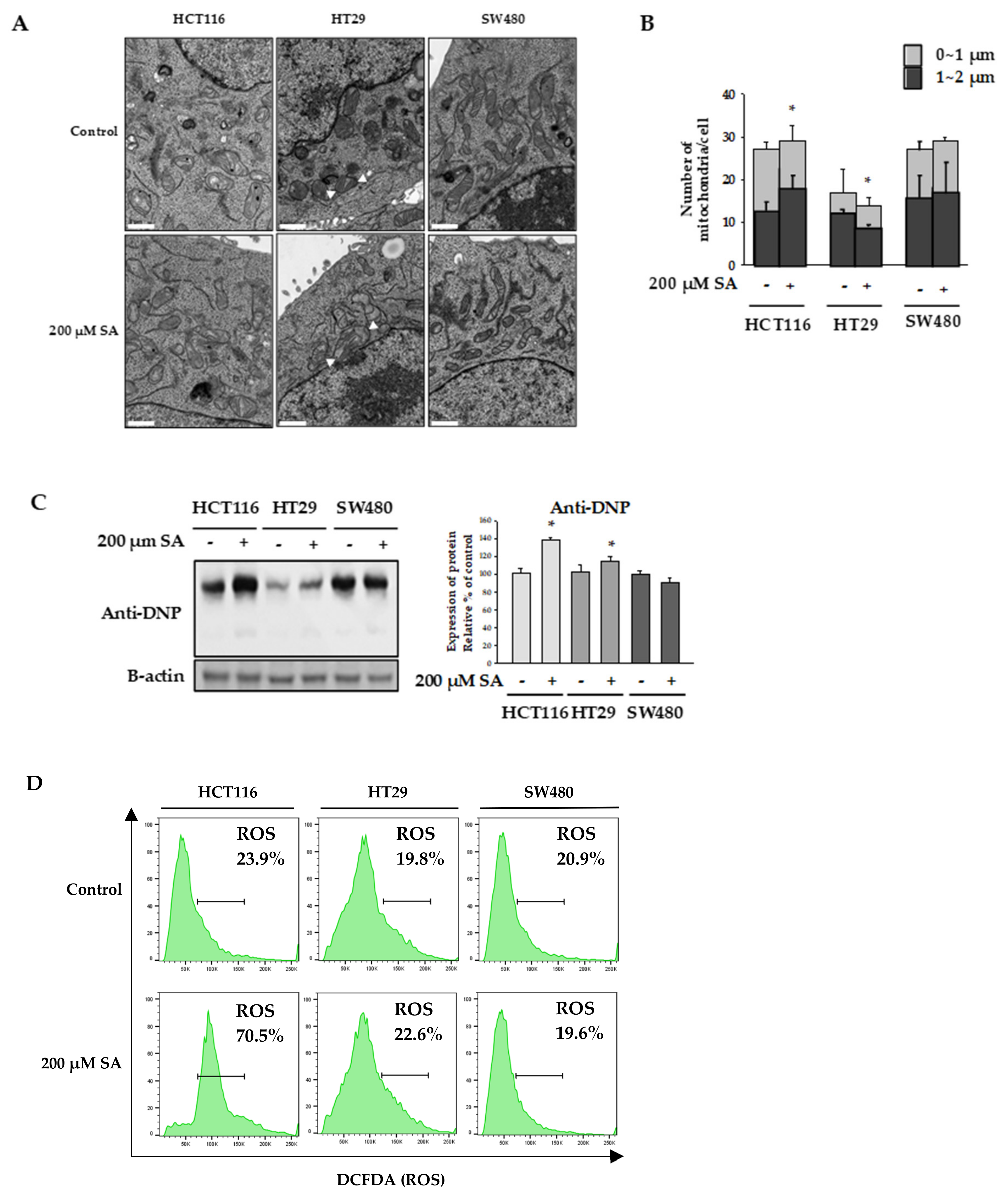 Molecules 24 03575 g002 Molecules 24 03575 g002