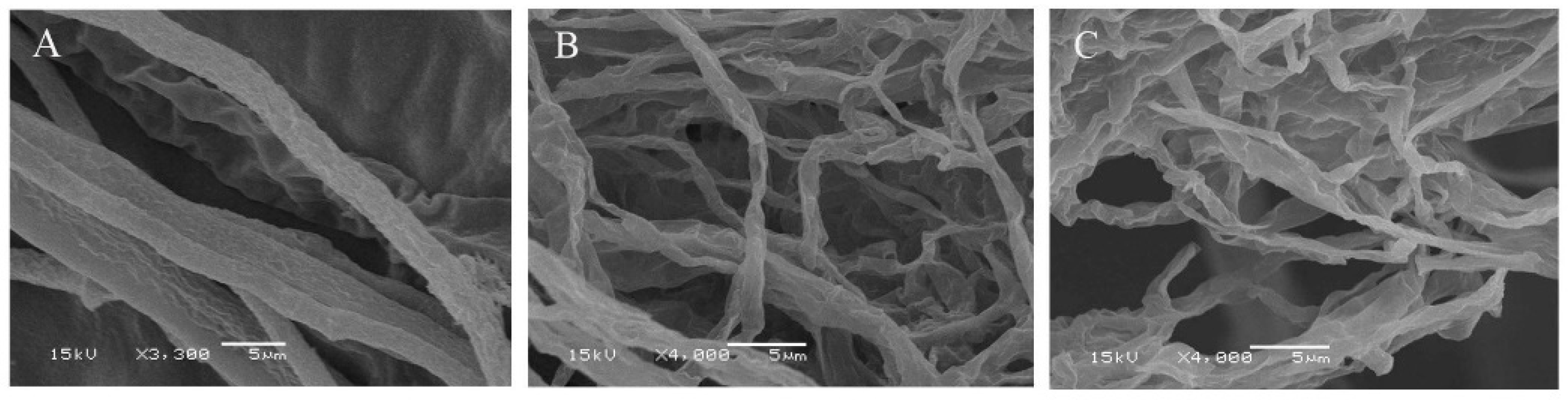 Molecules 24 03576 g003 Molecules 24 03576 g003