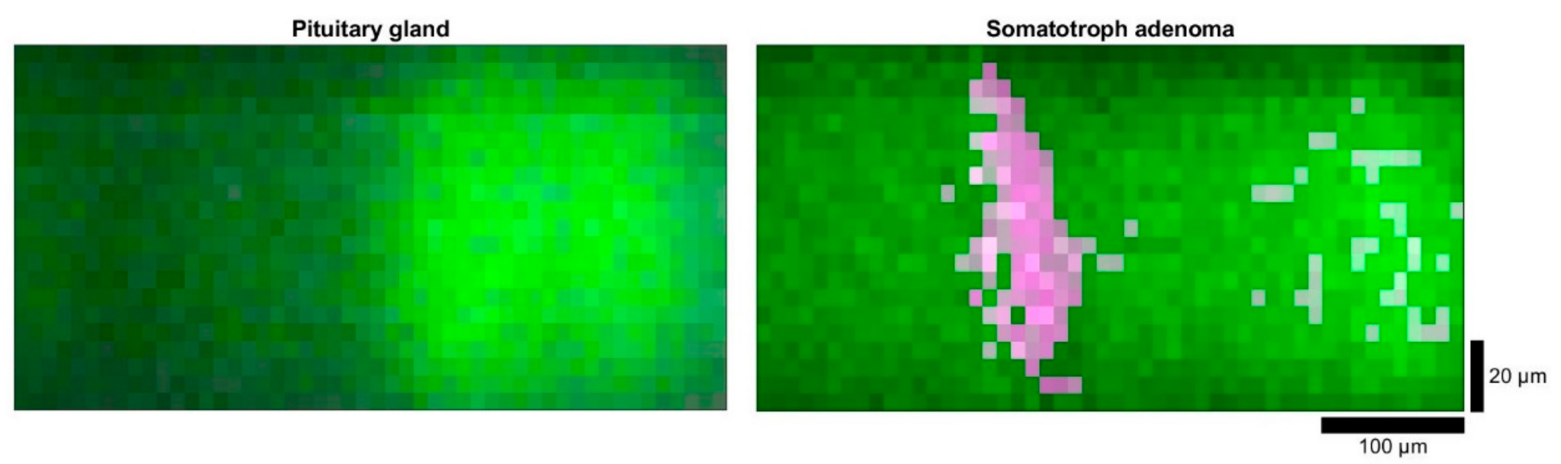 Molecules 24 03577 g005 Molecules 24 03577 g005