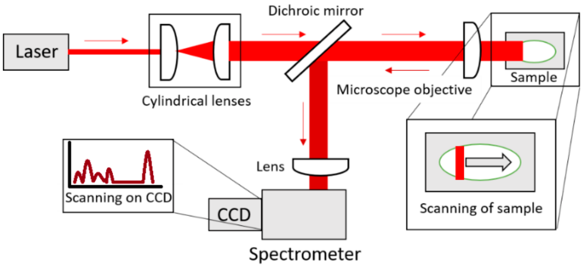 Molecules 24 03577 g008 Molecules 24 03577 g008