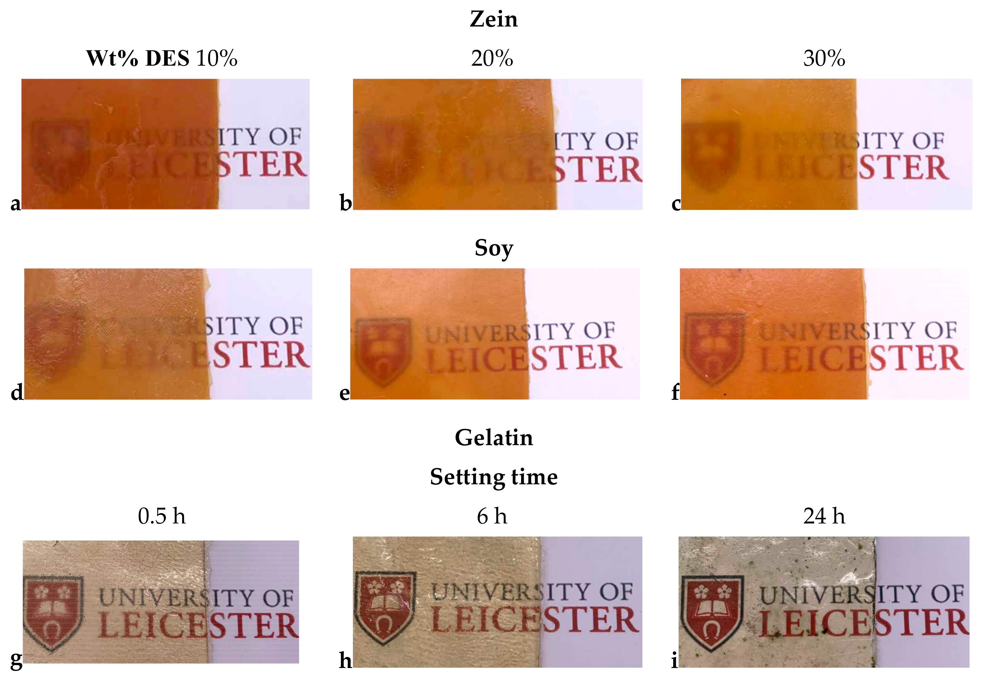 Molecules 24 03583 g001 Molecules 24 03583 g001