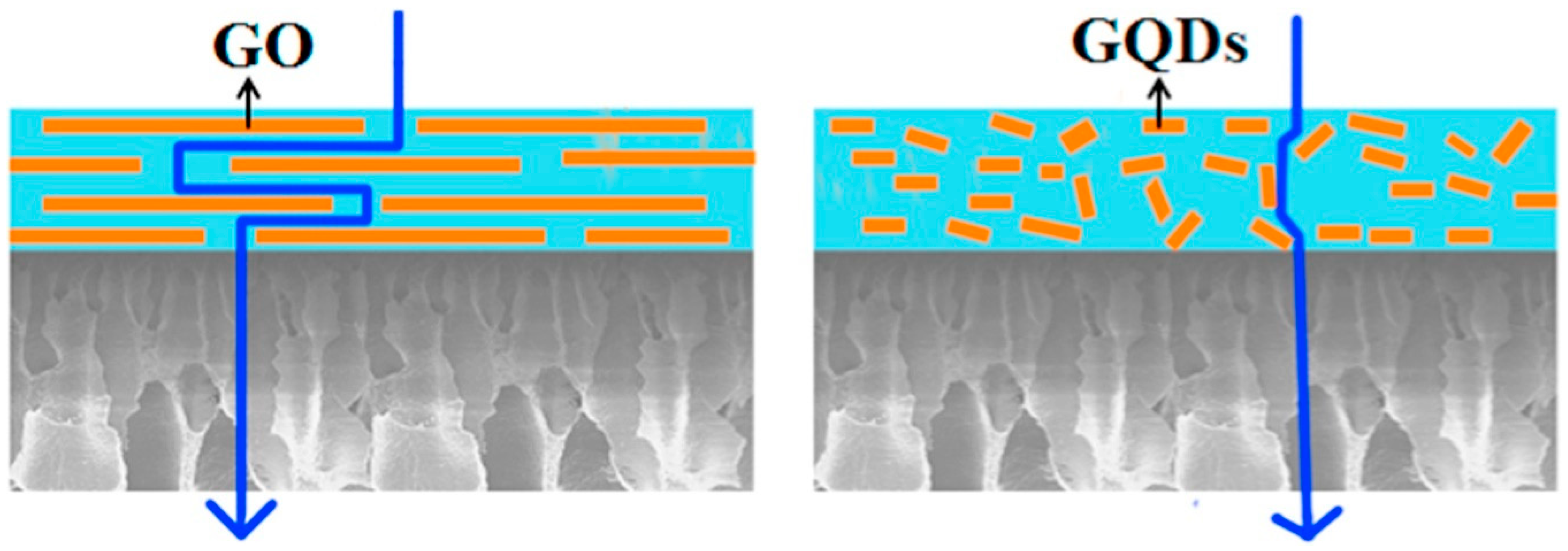 Molecules 24 03584 g003 Molecules 24 03584 g003