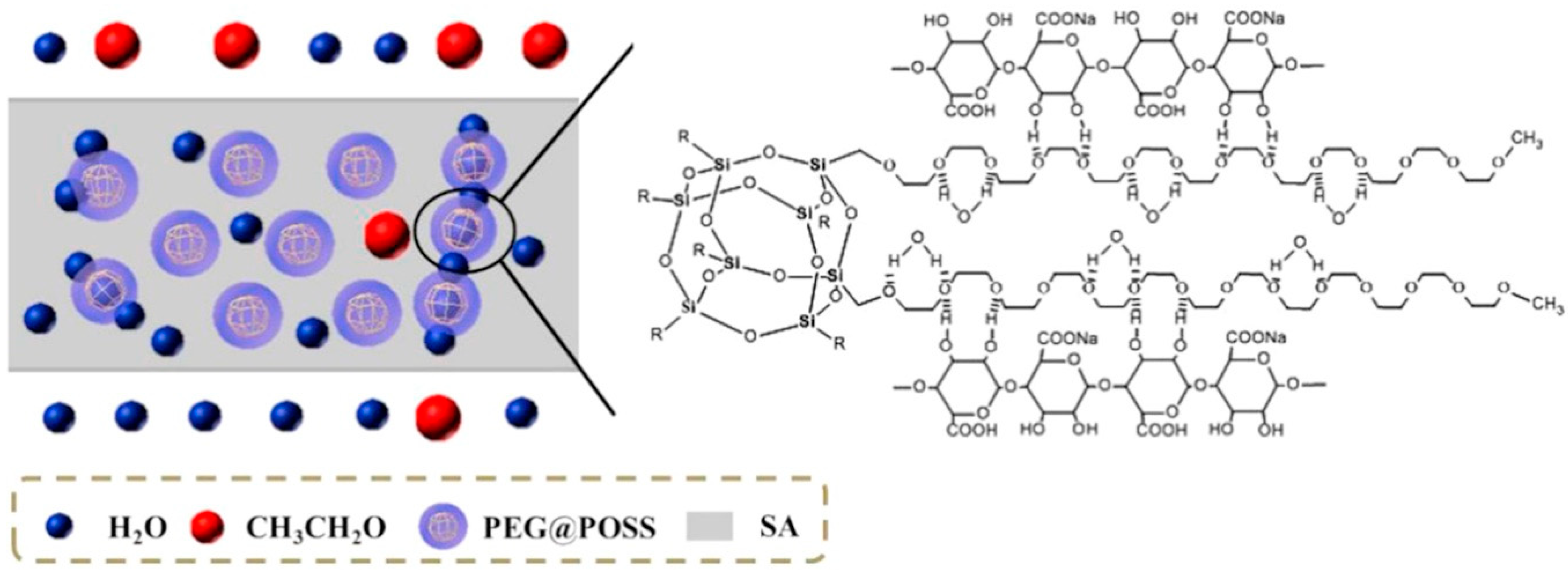 Molecules 24 03584 g004 Molecules 24 03584 g004