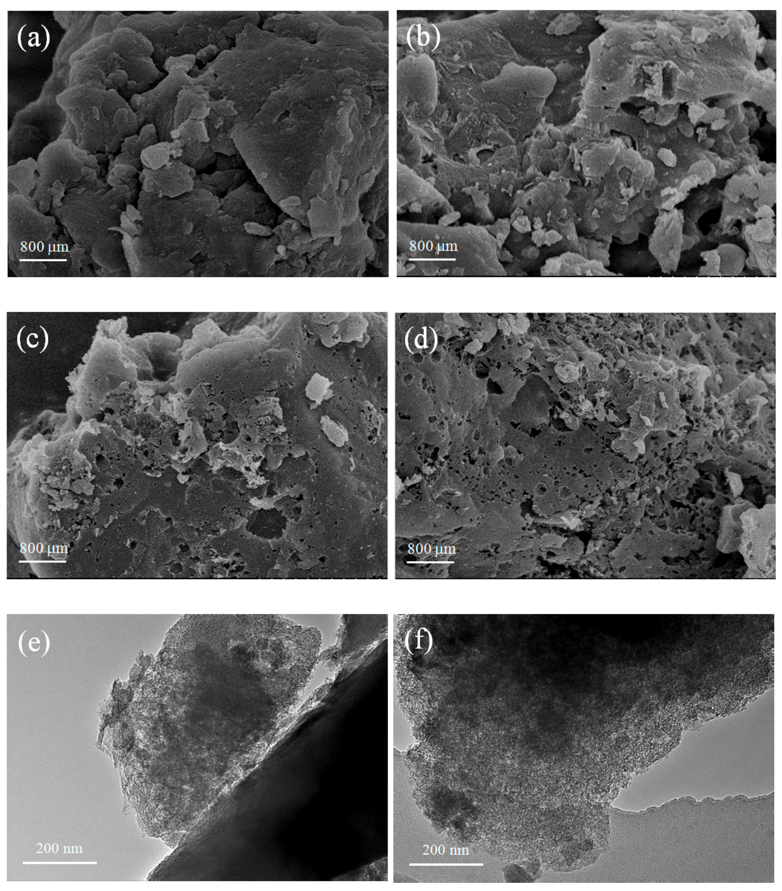 Molecules 24 03588 g001