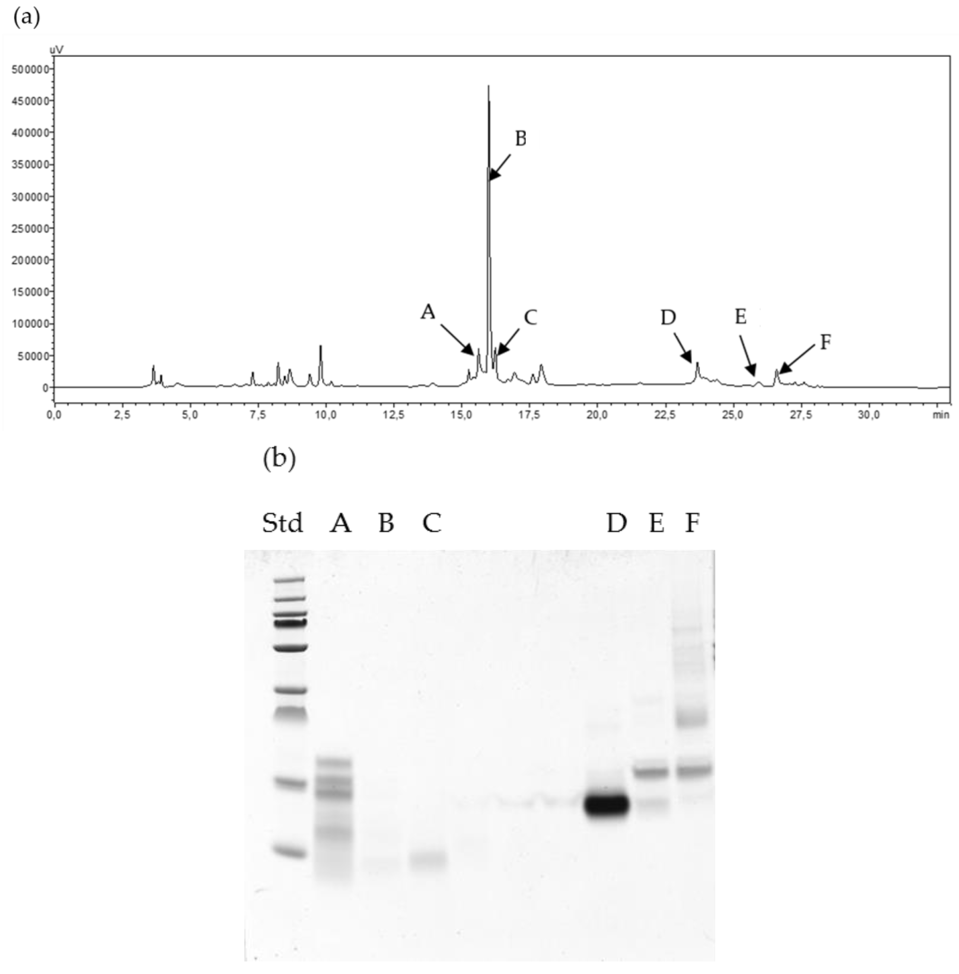 Molecules 24 03589 g004a Molecules 24 03589 g004a