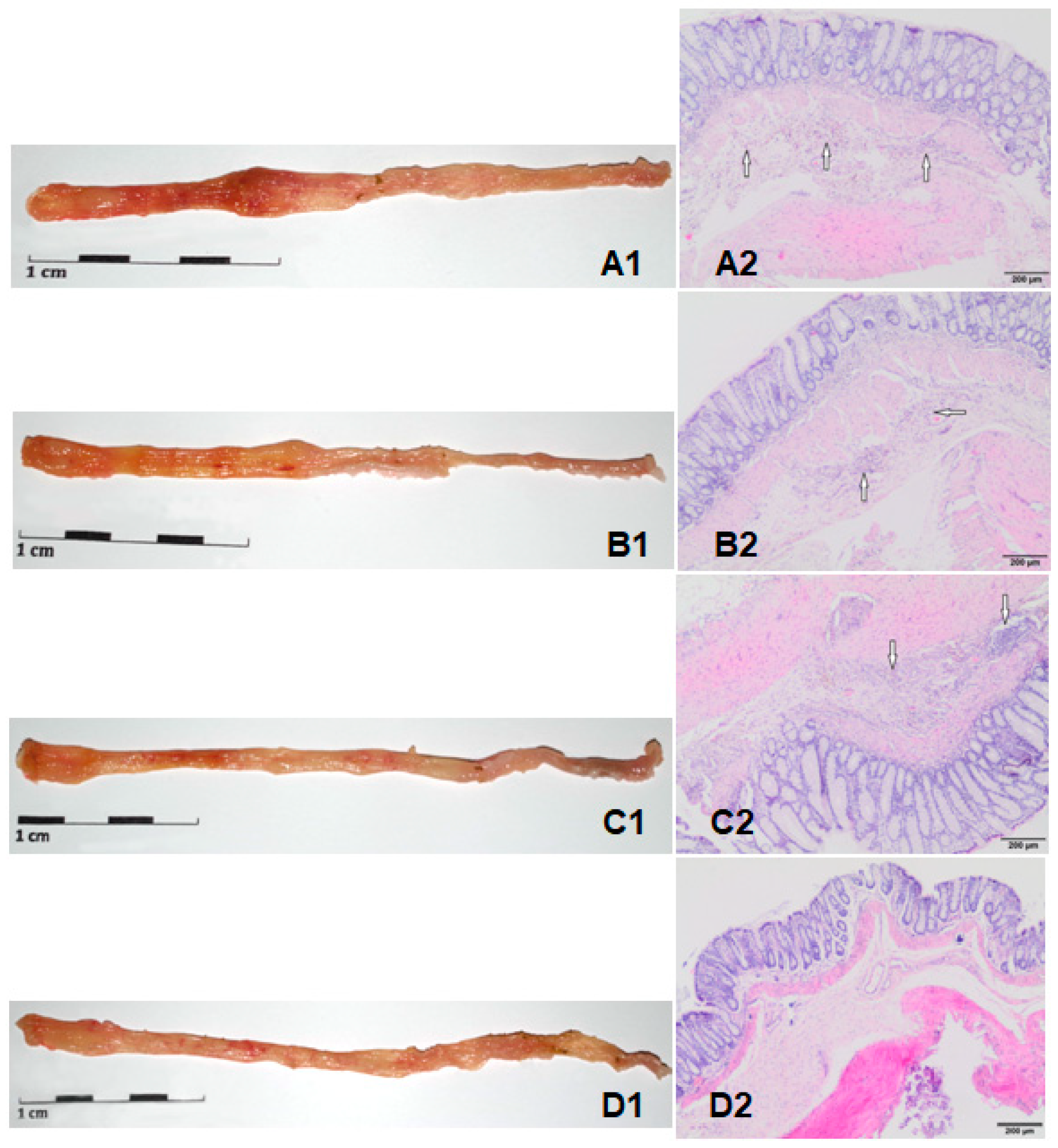 Molecules 24 03591 g003