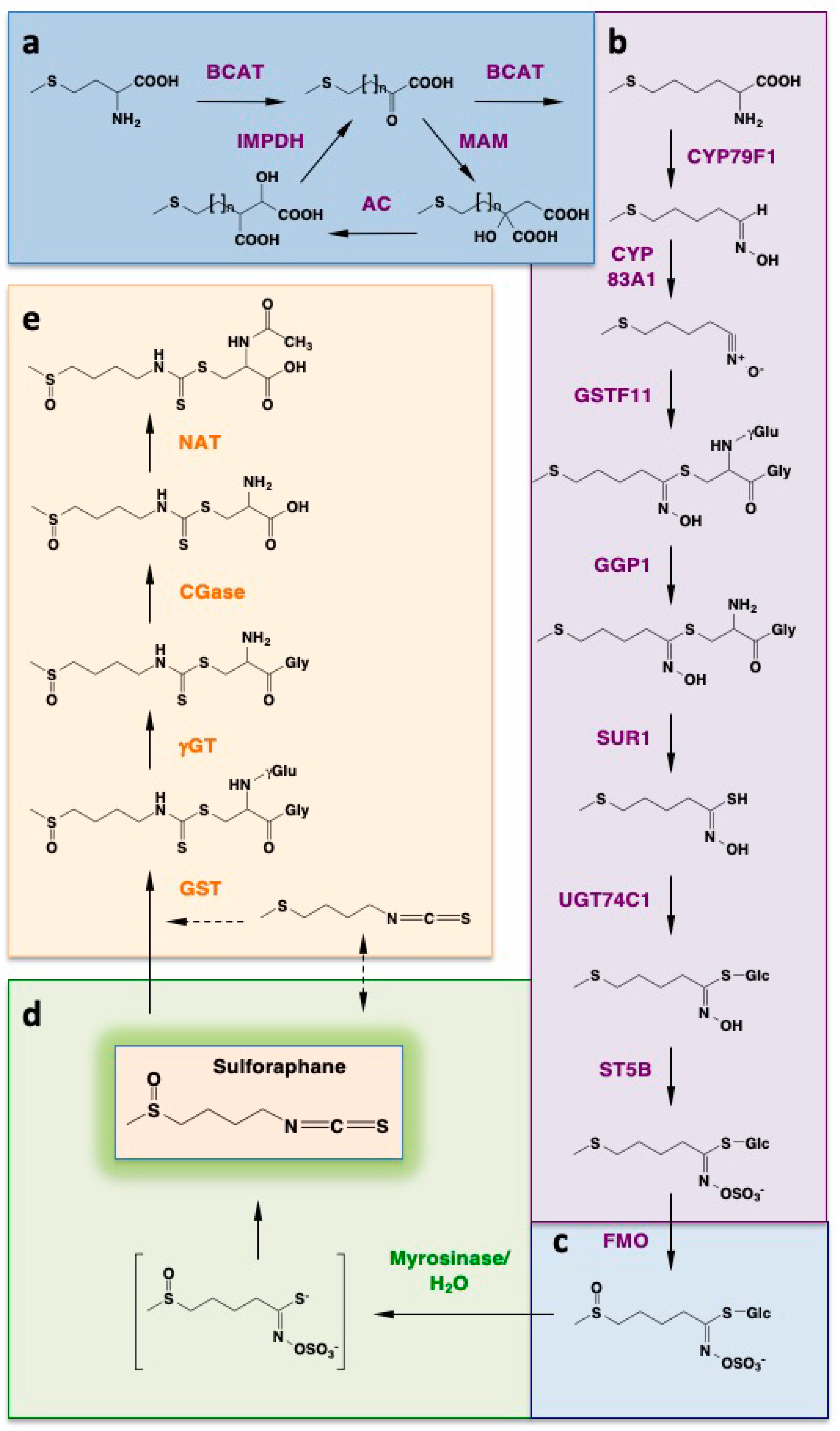Molecules 24 03593 sch001