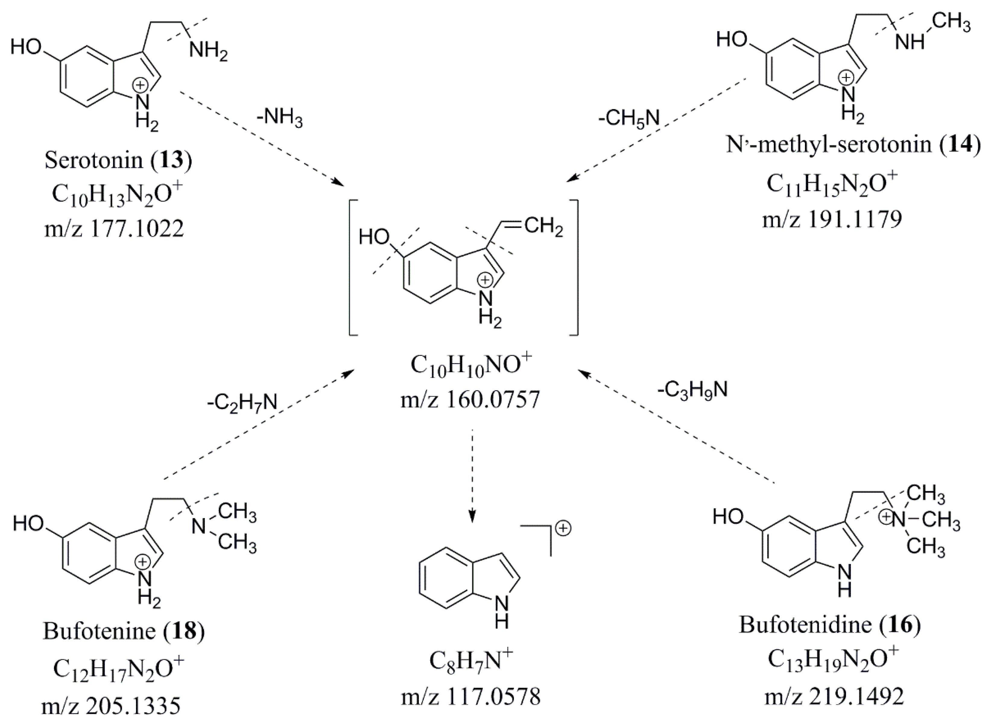 Molecules 24 03595 g004
