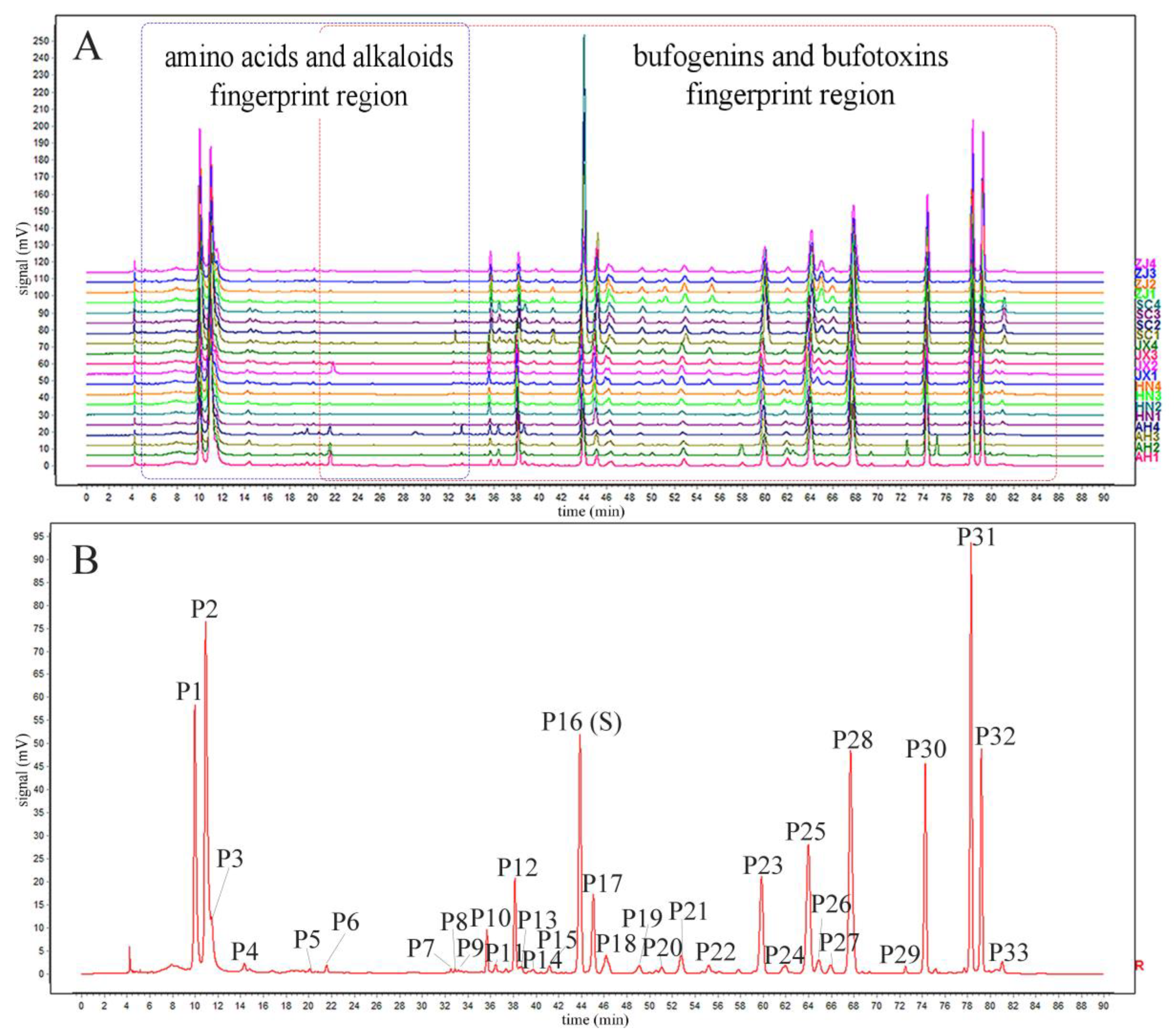 Molecules 24 03595 g006