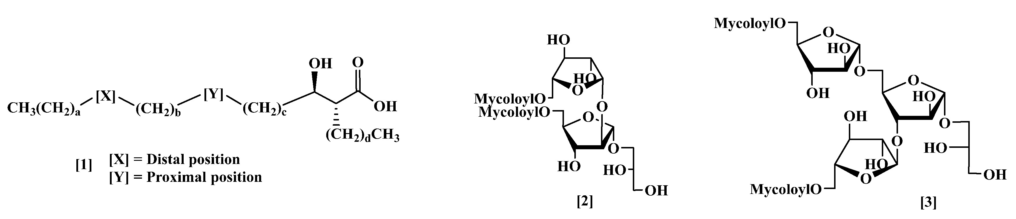Molecules 24 03596 g001 550